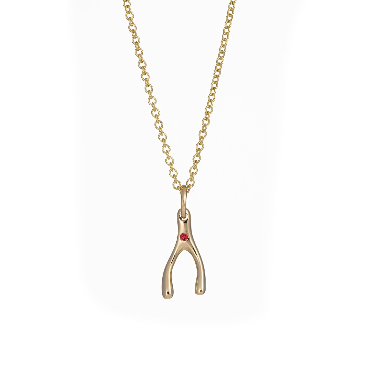 Women’s Solid Gold Wishbone Necklace With Ruby Lily Charmed