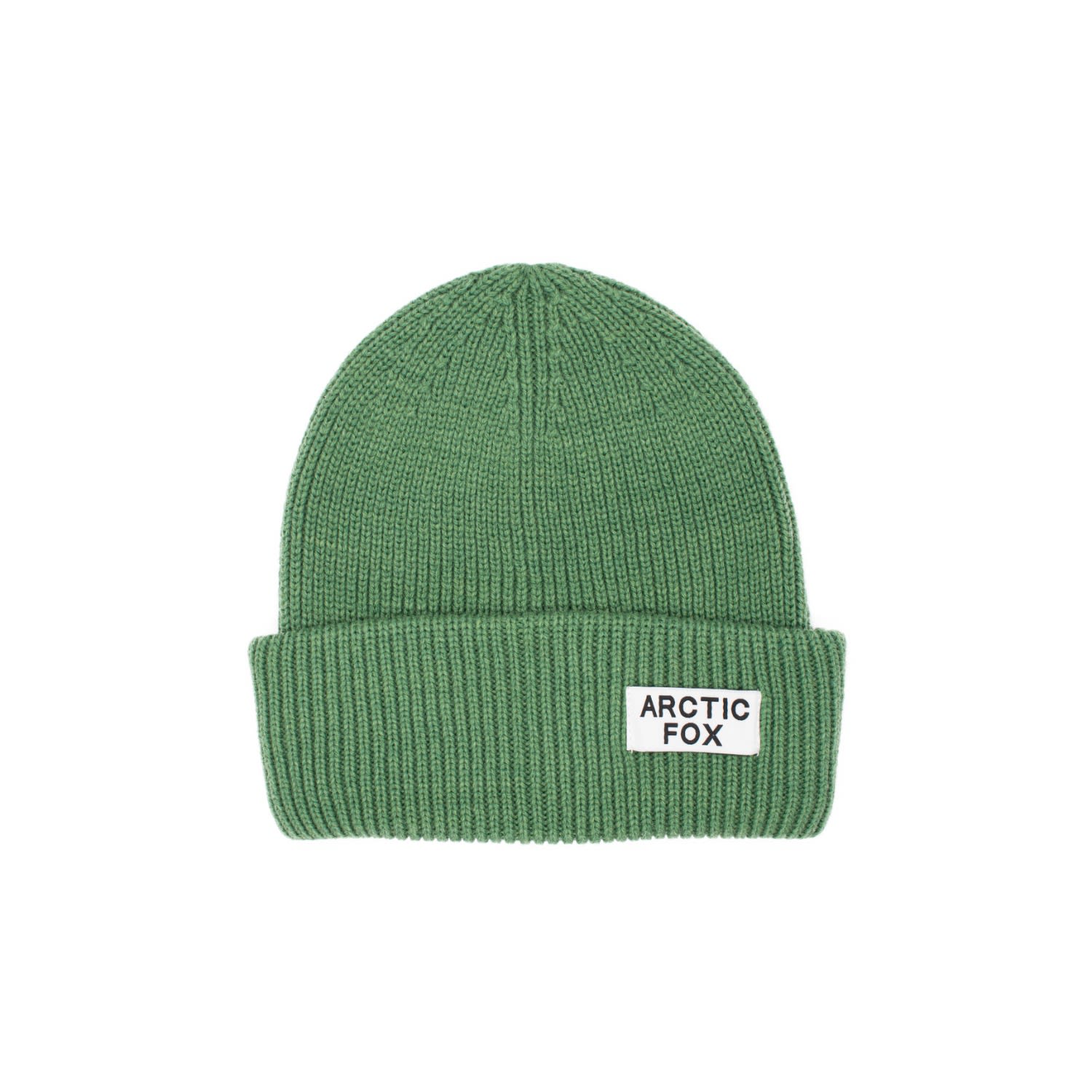 Arctic Fox & Co. Women's Green Recycled Bottle Beanie - Forest Fern In Green