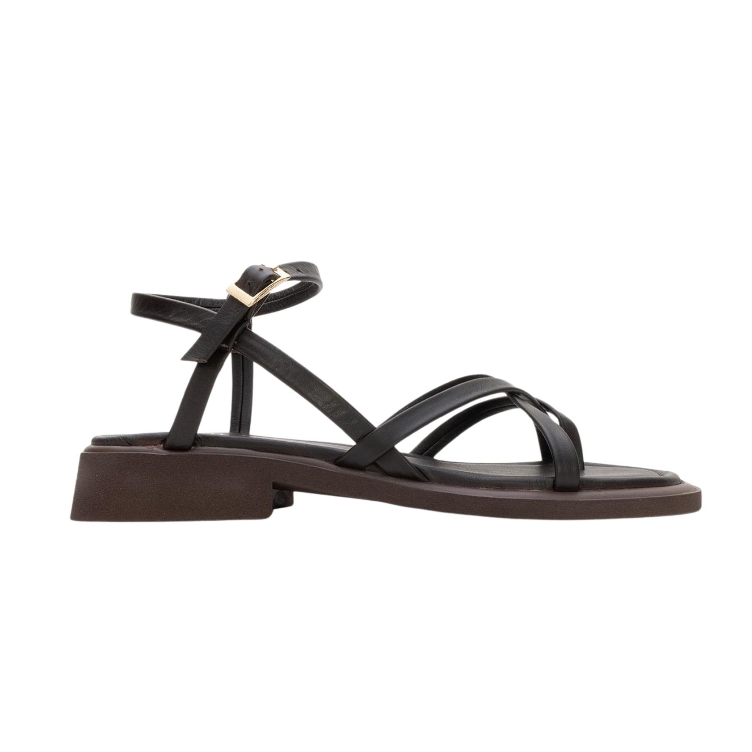 Forever & Always Shoes Antas Strappy Leather Flat Sandals In Brown
