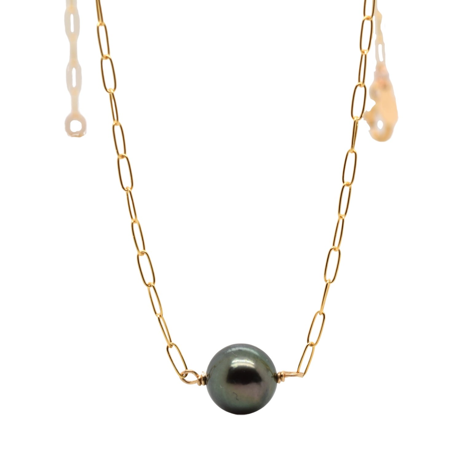 Lori Kaplan Design Women's Black / Gold Single Black Tahitian Pearl Gold Choker In Multi