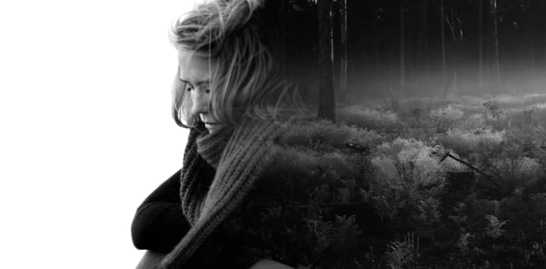 Anna Soderstrom Designer Collection Wolf Badger