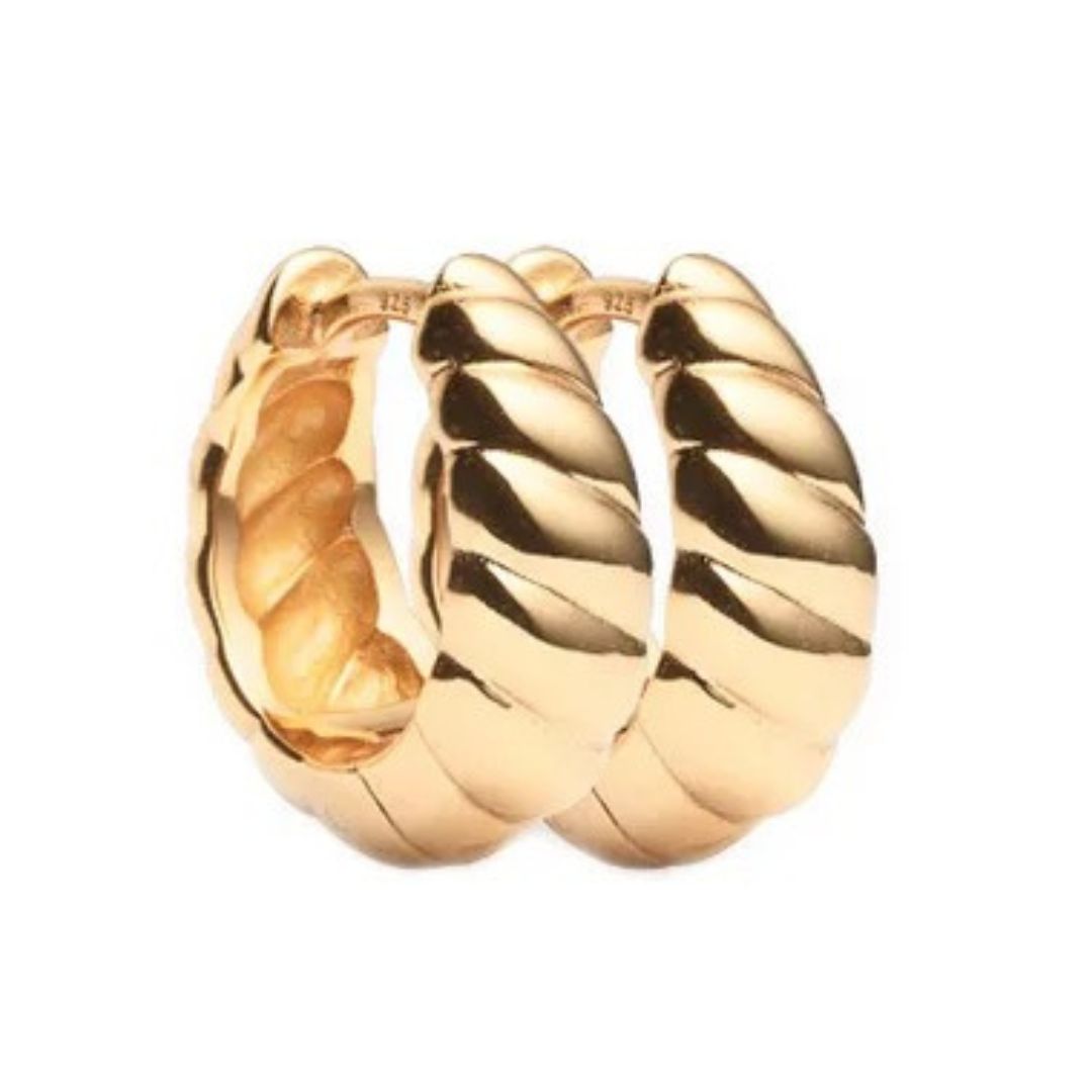 Nazzar Women's Gold Croissant Hoop Earrings