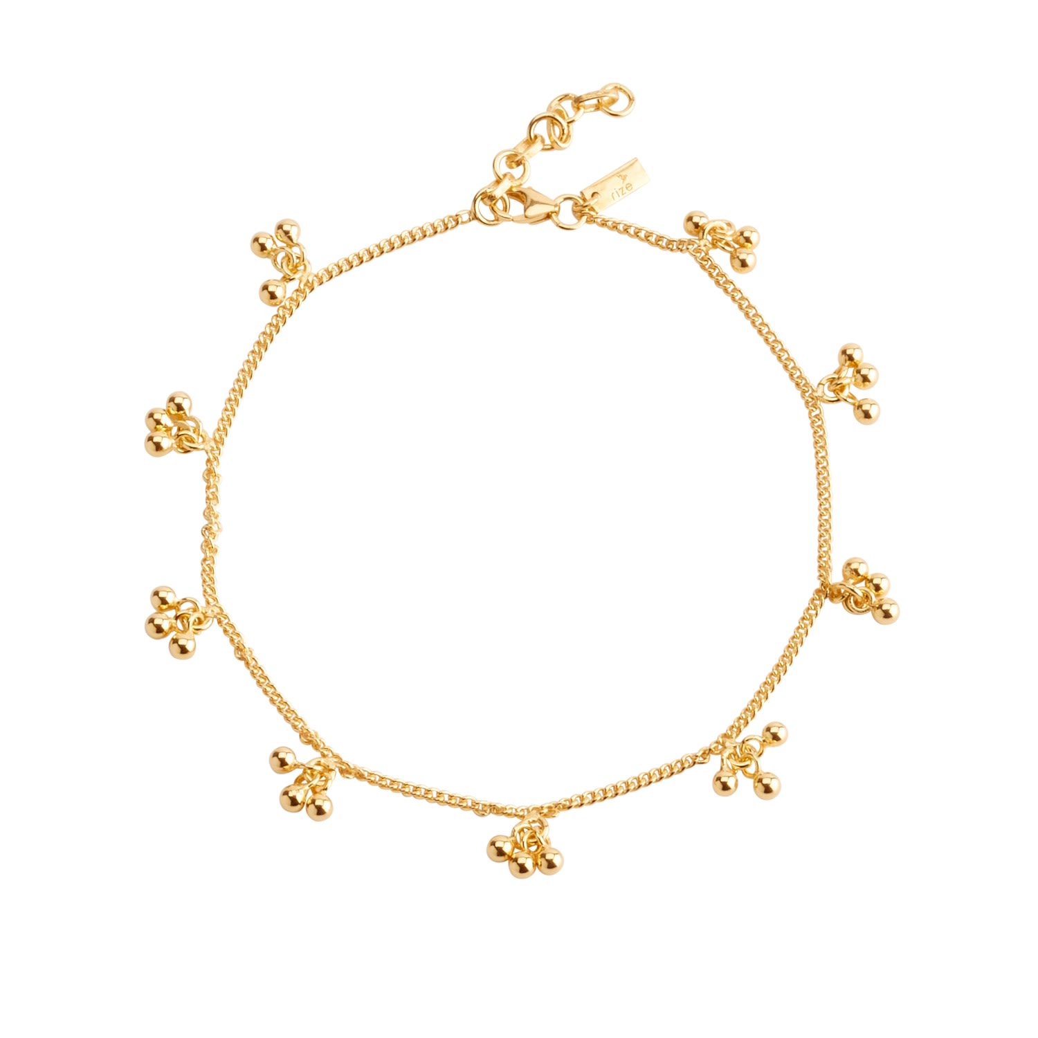 Rize Women's Chilanka Bell Anklet - Gold Plated In Gold
