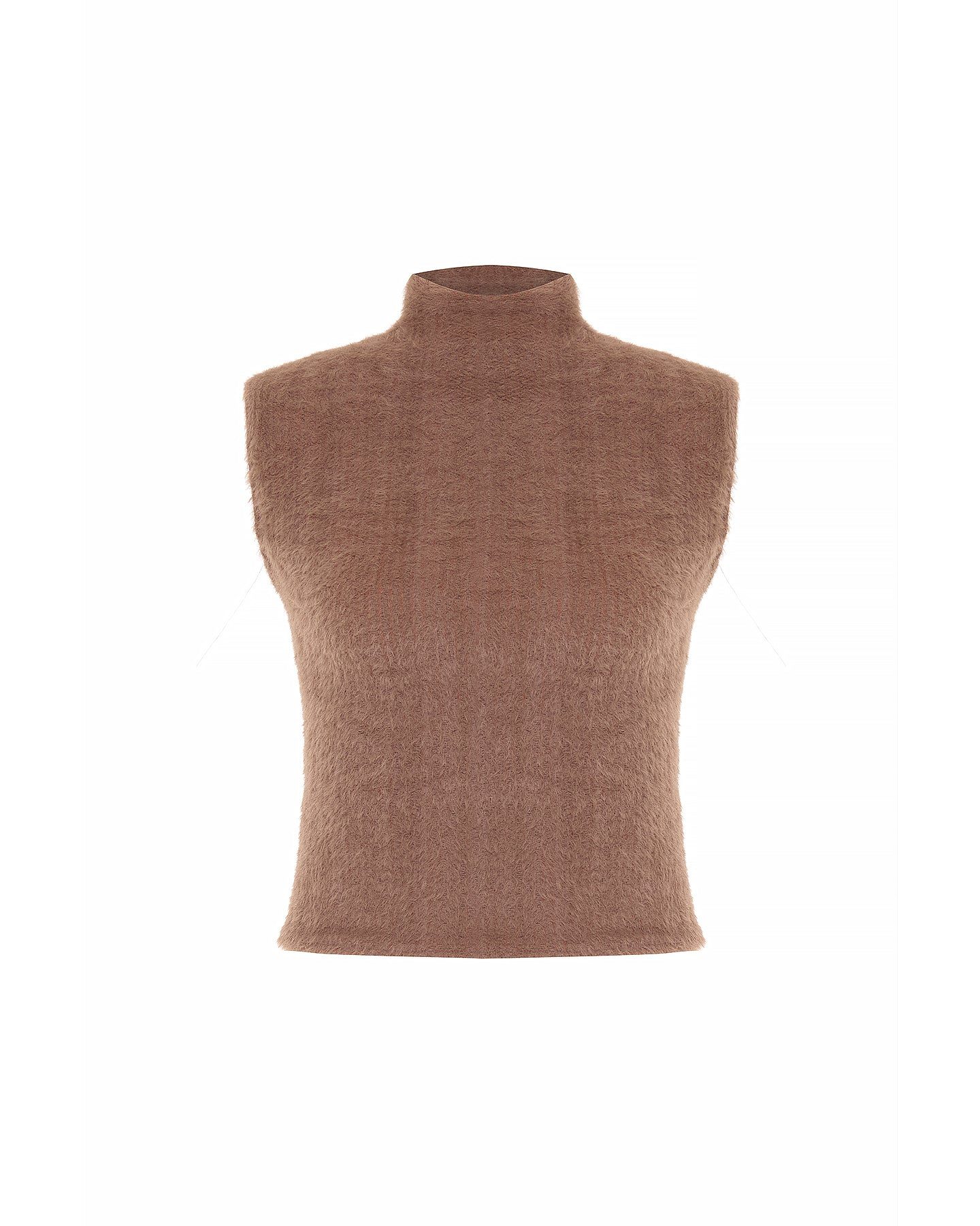 Theo The Label Women's Brown Carme Plush Lace Sleeveless Mockneck - Cappuccino In Brown