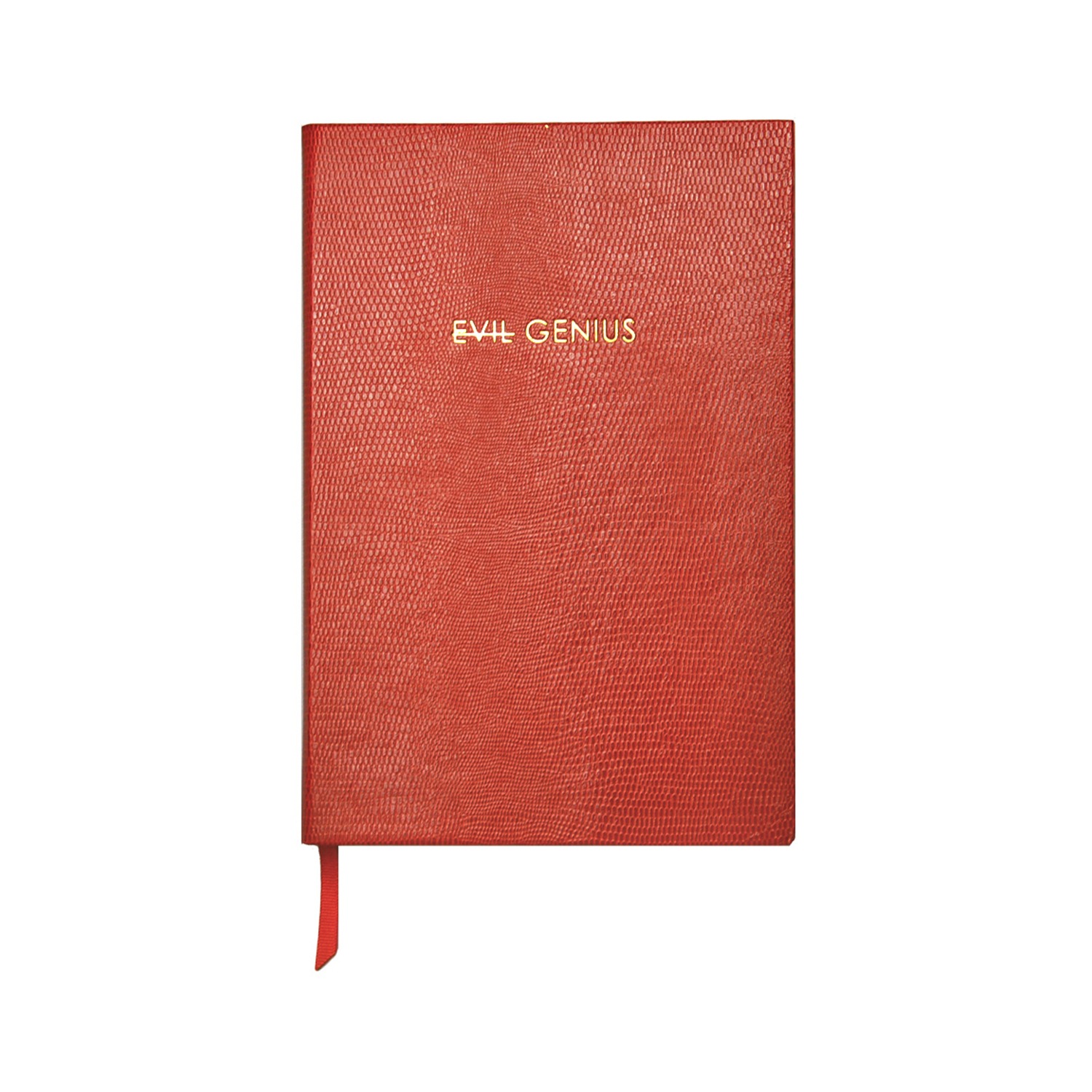 Evil Genius Notebook | Sloane Stationery | Wolf & Badger