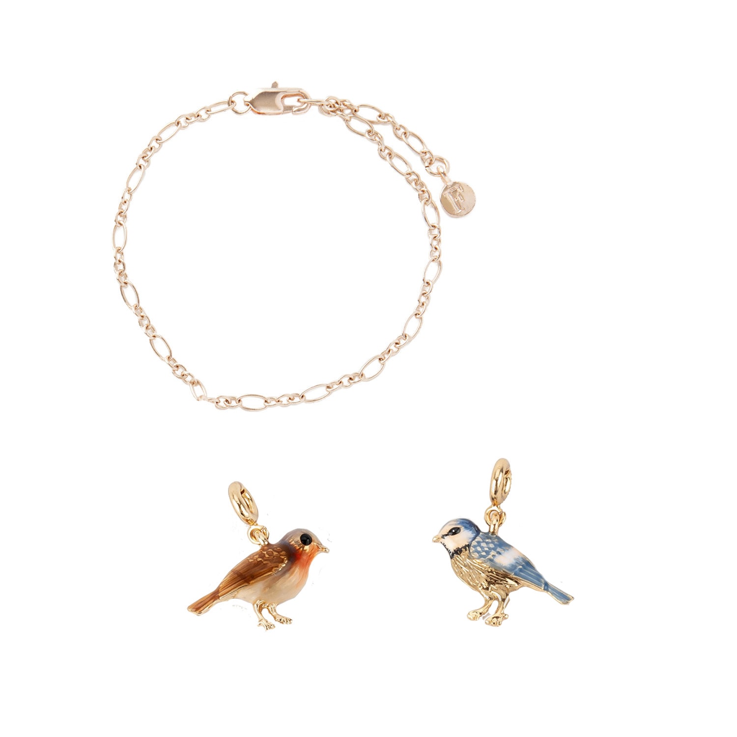 Women’s Gold Fable Cable Chain Bracelet Enamel Robin Charm, Enamel Blue Tit Charm Fable England