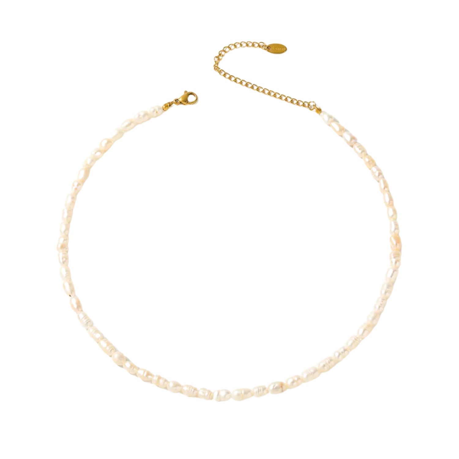 Bermuda Watch Company Women's Gold / Neutrals Annie Apple Maisie Pearl Necklace