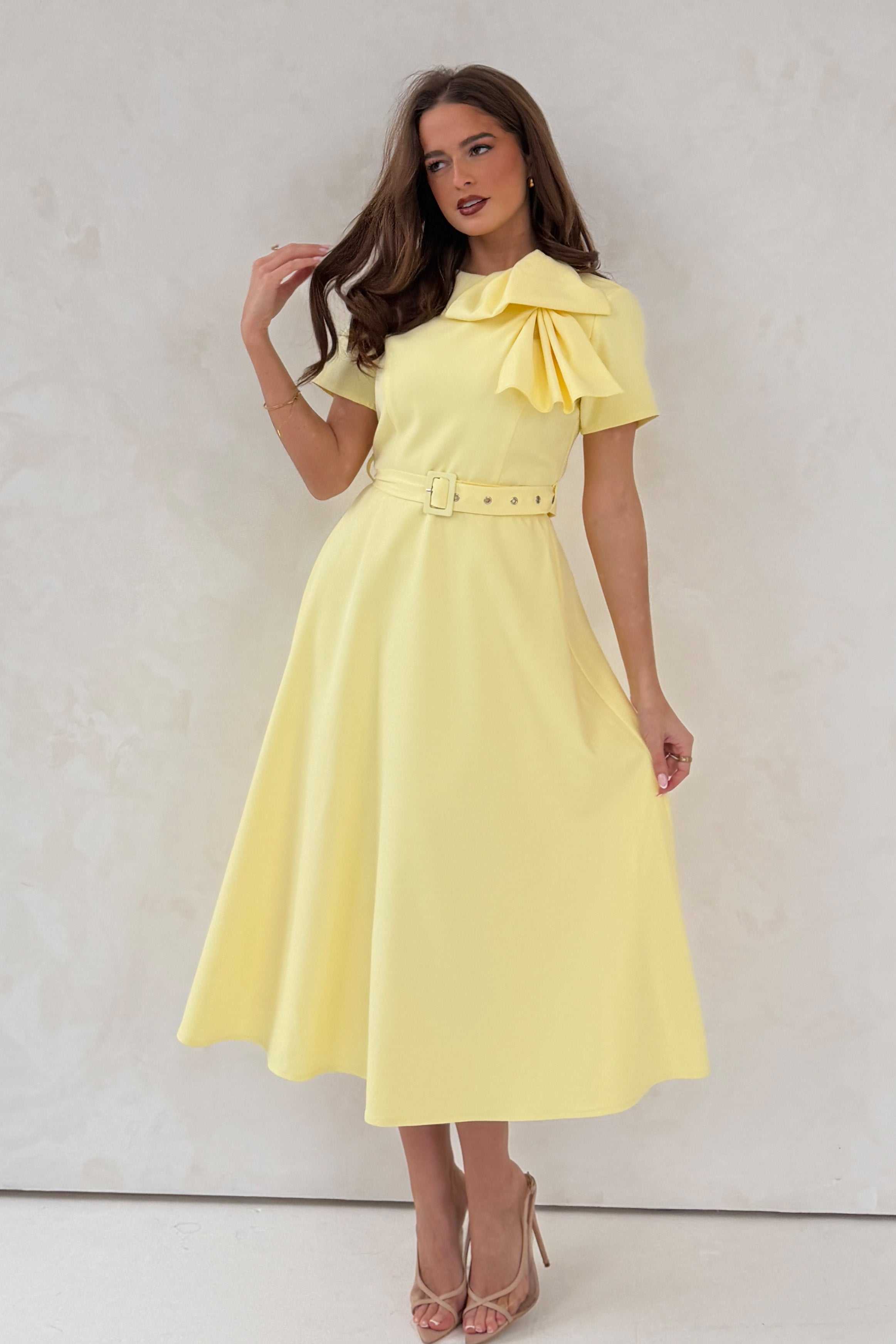 maxi pink dress for women Belle Maxi Dress - Blush