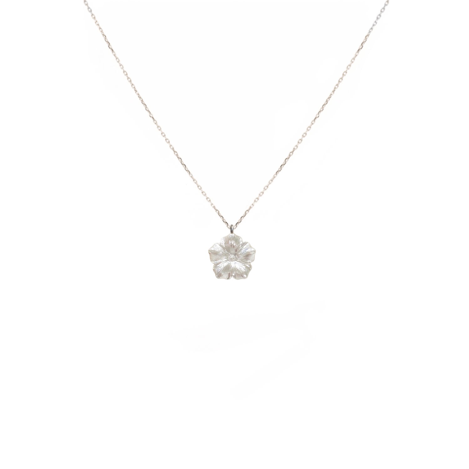 Alegoria Jewellery Women's Bavella Mini Necklace - Silver In Silver