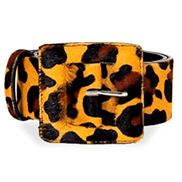 Women’s Neutrals Square Buckle Belt - Leopard Caramel Small Beltbe