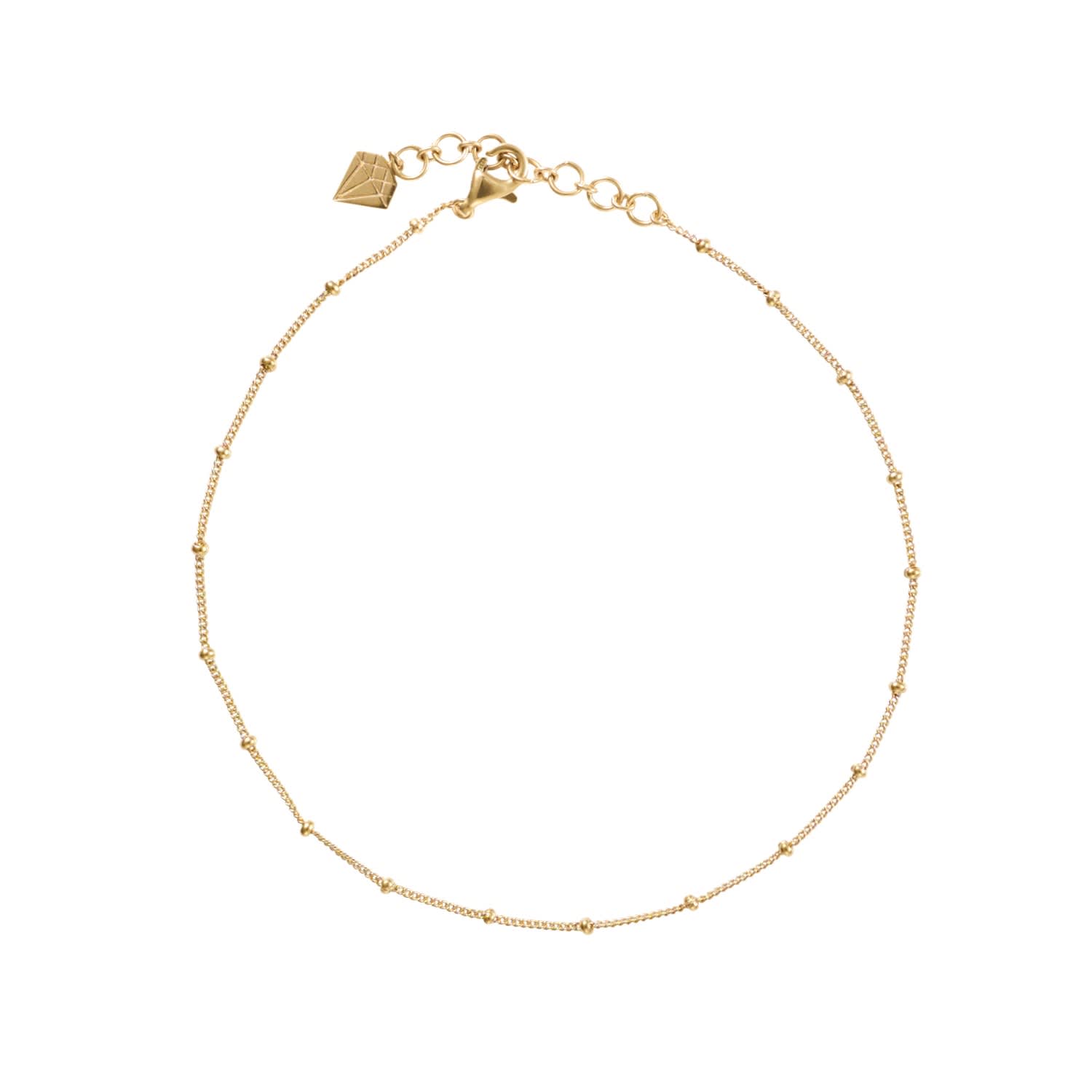 gold and silver anklet