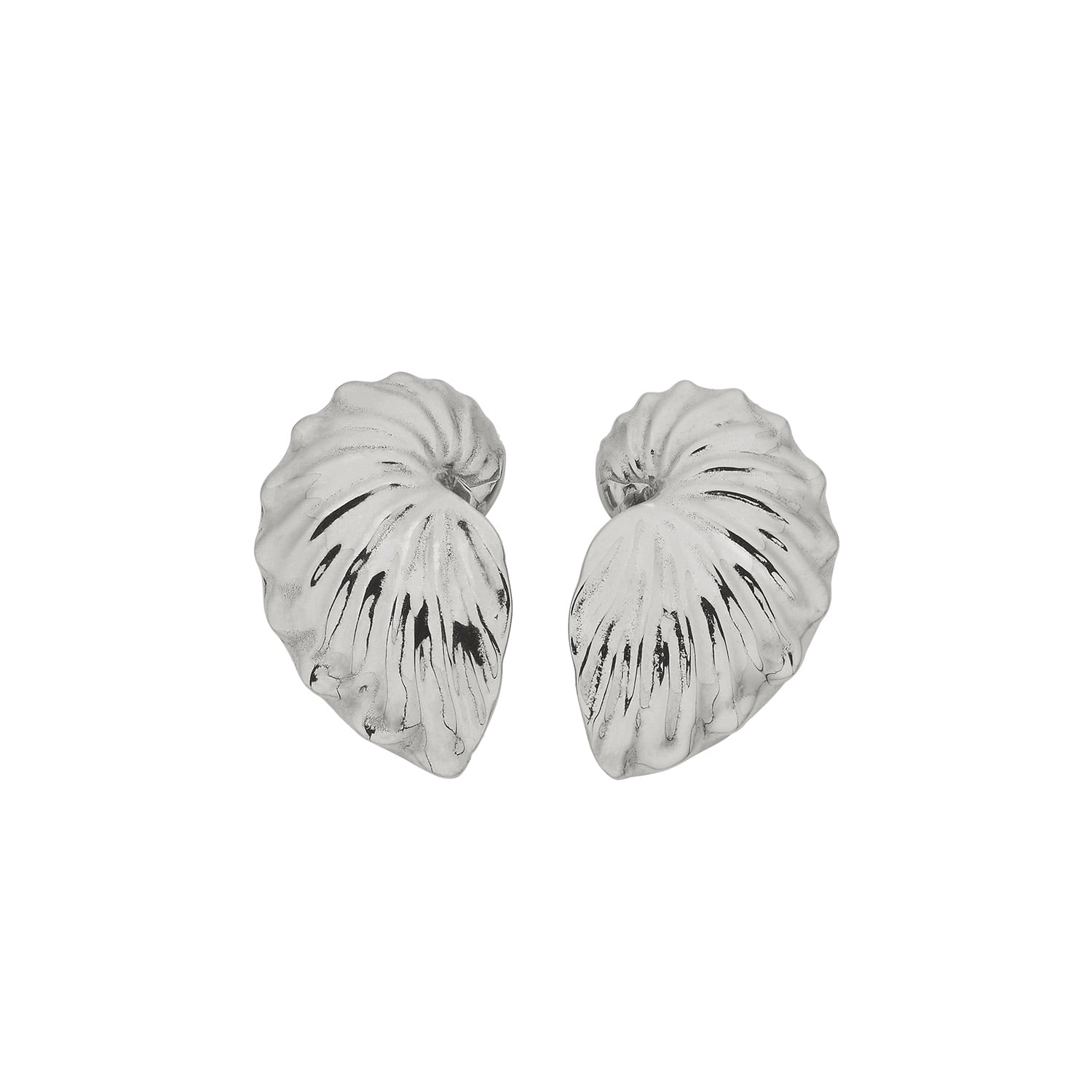 Zoe And Morgan Women's Paper Nautilus Earrings Silver In Silver