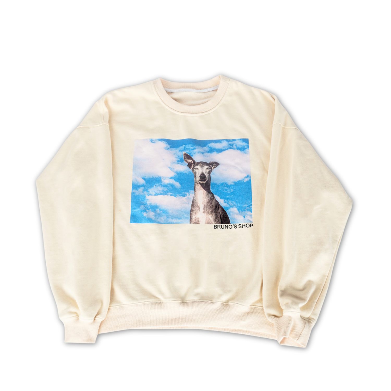 Women&rsquo;s Neutrals Unisex Wildest Dream Printed Sweatshirt | S/M | Bruno&rsquo;s Shop