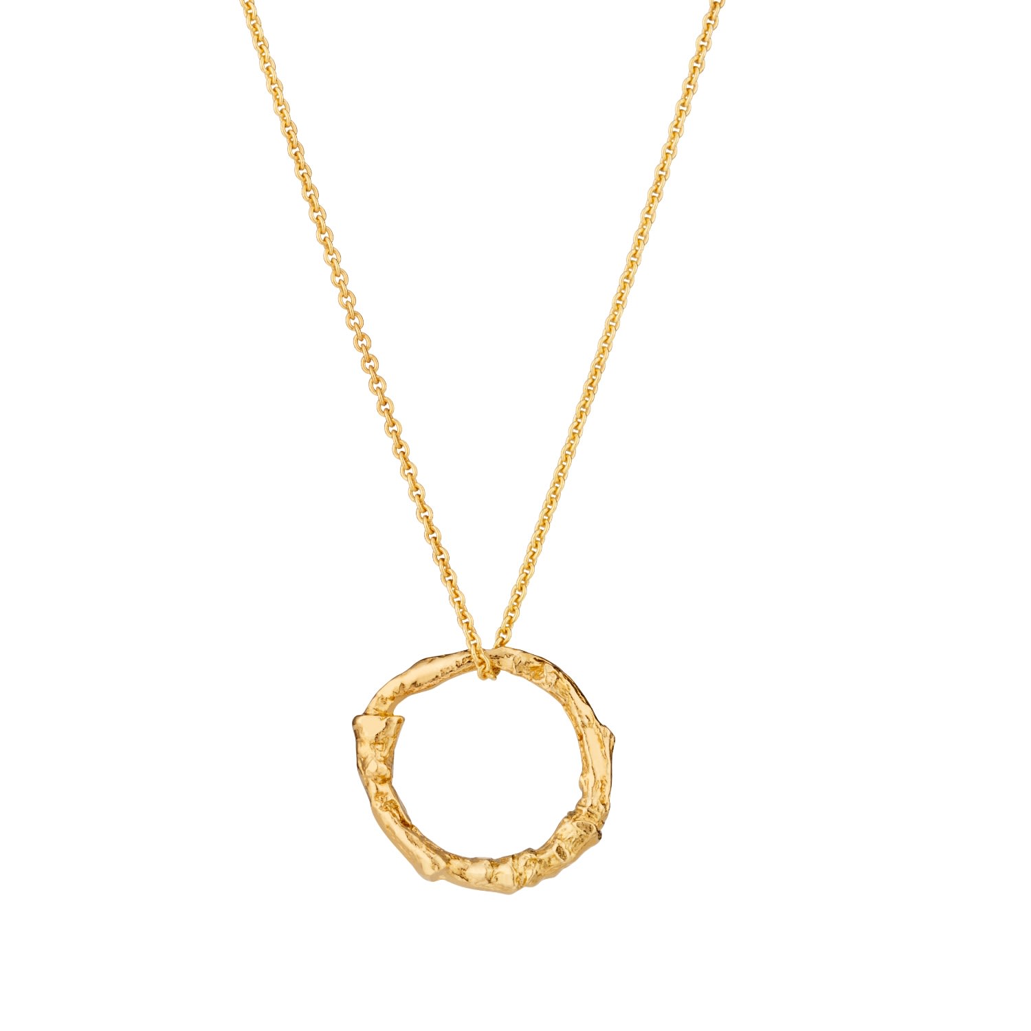 Posh Totty Designs Women's Yellow Gold Plated Medium Twig Hoop Necklace In Gold