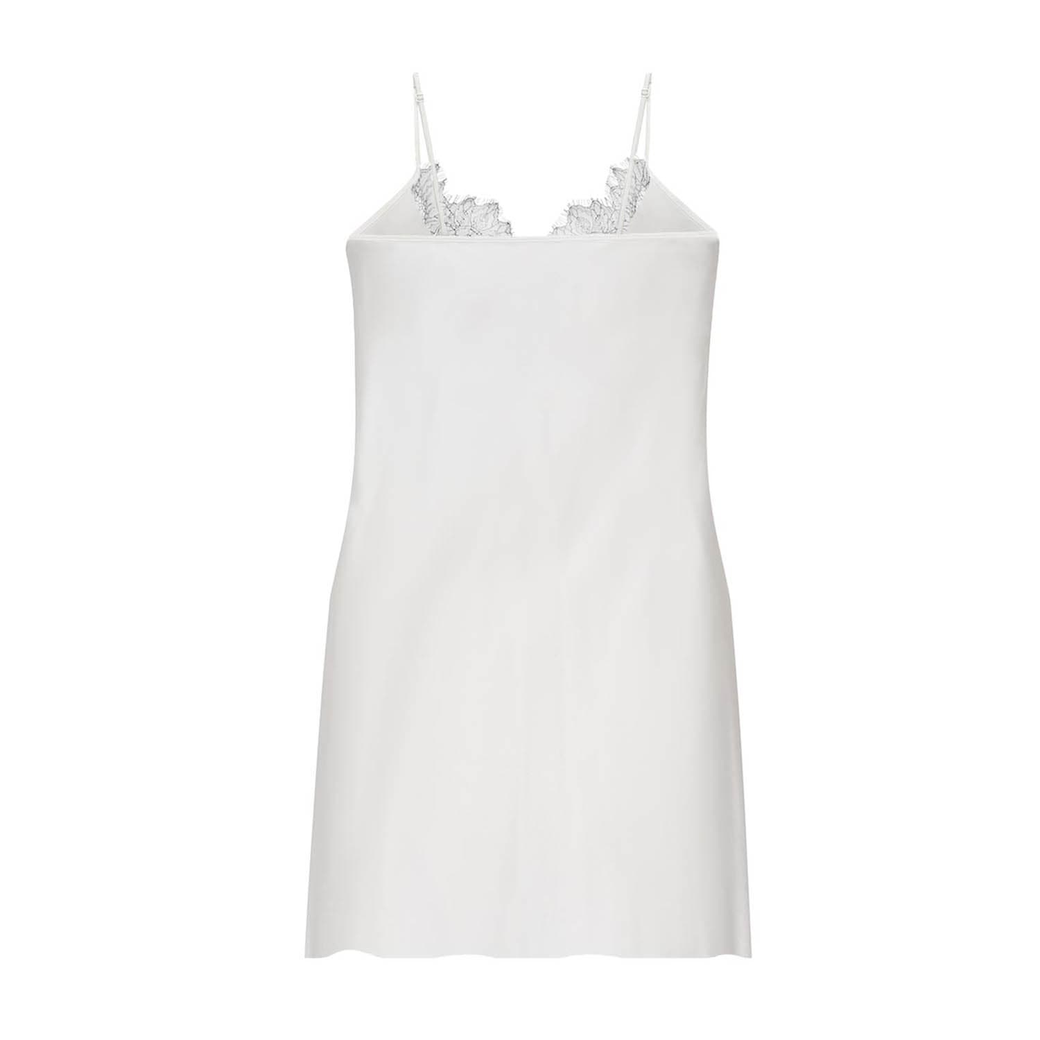 Silk Slip Mini Lace Dress | Avenue 8 | Wolf & Badger
