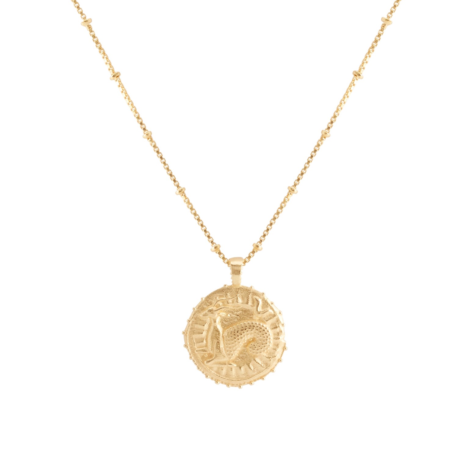 Rize Women's Capricorn Zodiac Manifesting Necklace *double Sided* - Gold Vermeil