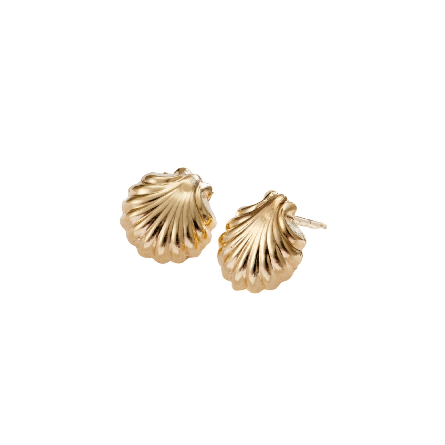 Women’s Gold Shell Stud Earrings Posh Totty Designs