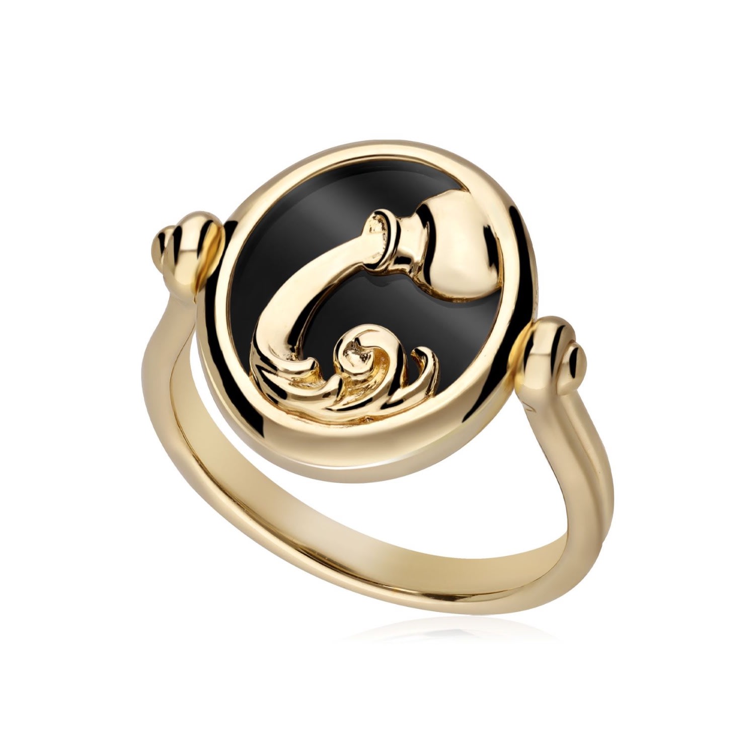 Women’s Black Zodiac Aquarius Flip Ring In Gold Plated Silver Gemondo