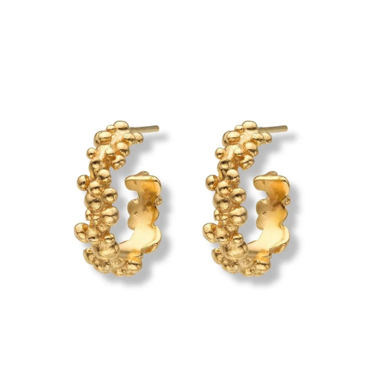 Shop Eva Remenyi Women's Céleste Deux Small Hoop Earrings Gold