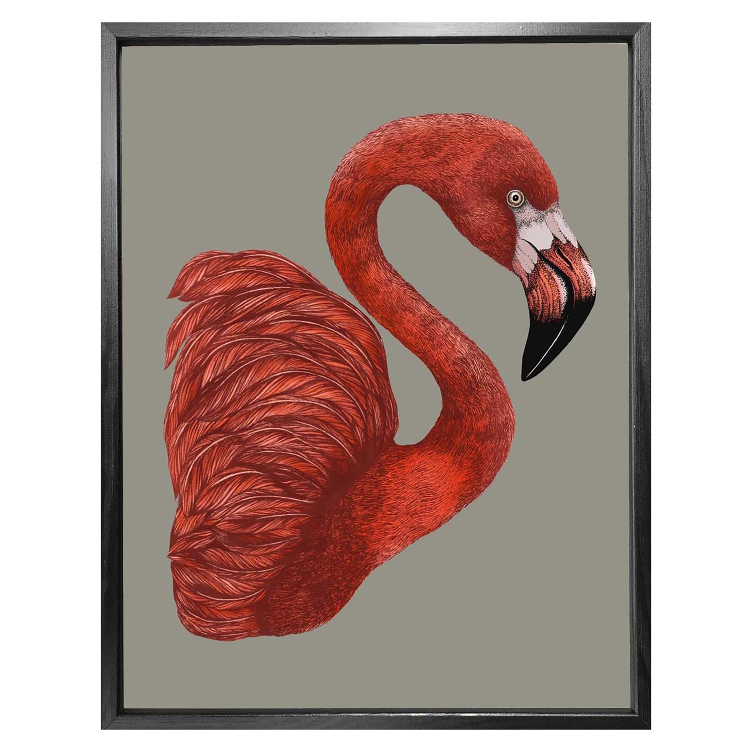 Antique Flamingo I Fine Art Print - A3 Emily Carter