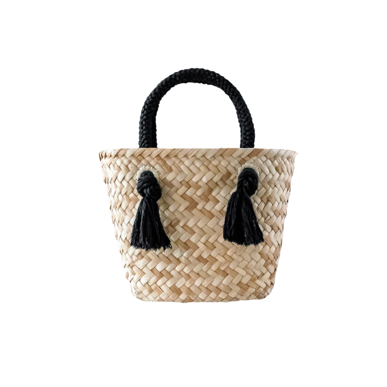 Women’s Black Small Classic Tote Bag With Braided Handles Likh