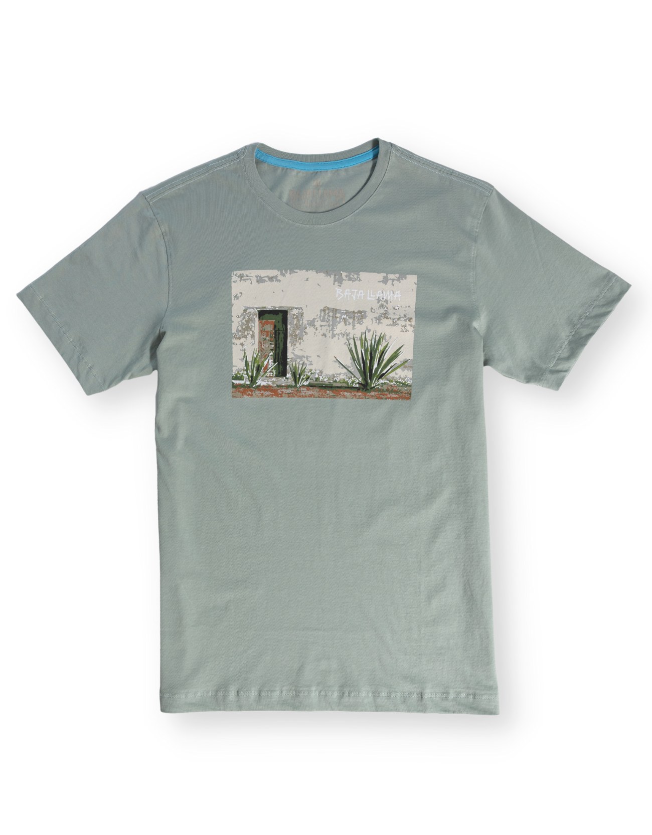 Men’s Green The Door Less Traveled - Mint Primo Graphic Tee Small Baja Llama