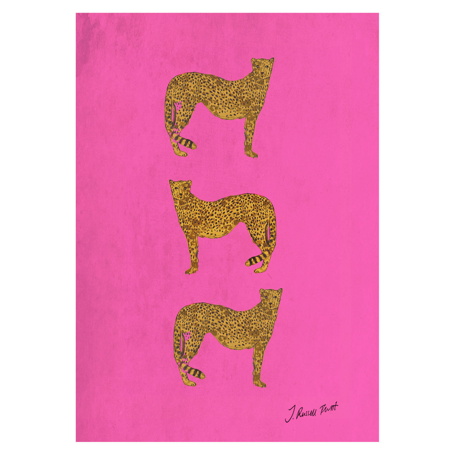 Jessica Russell Flint Pink / Purple "three Cheetah" Signed Print