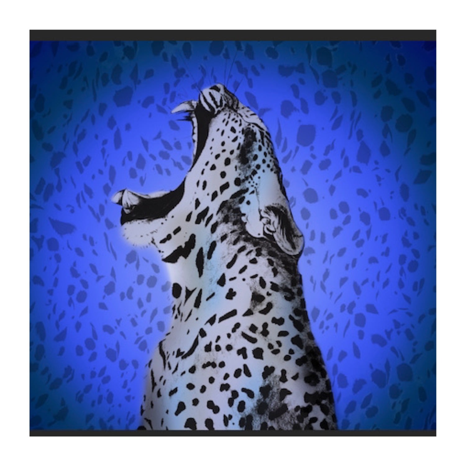 Women’s Scarf-Sarong Leopard Yawn: Cobalt Blue One Size Emma Jane Knight