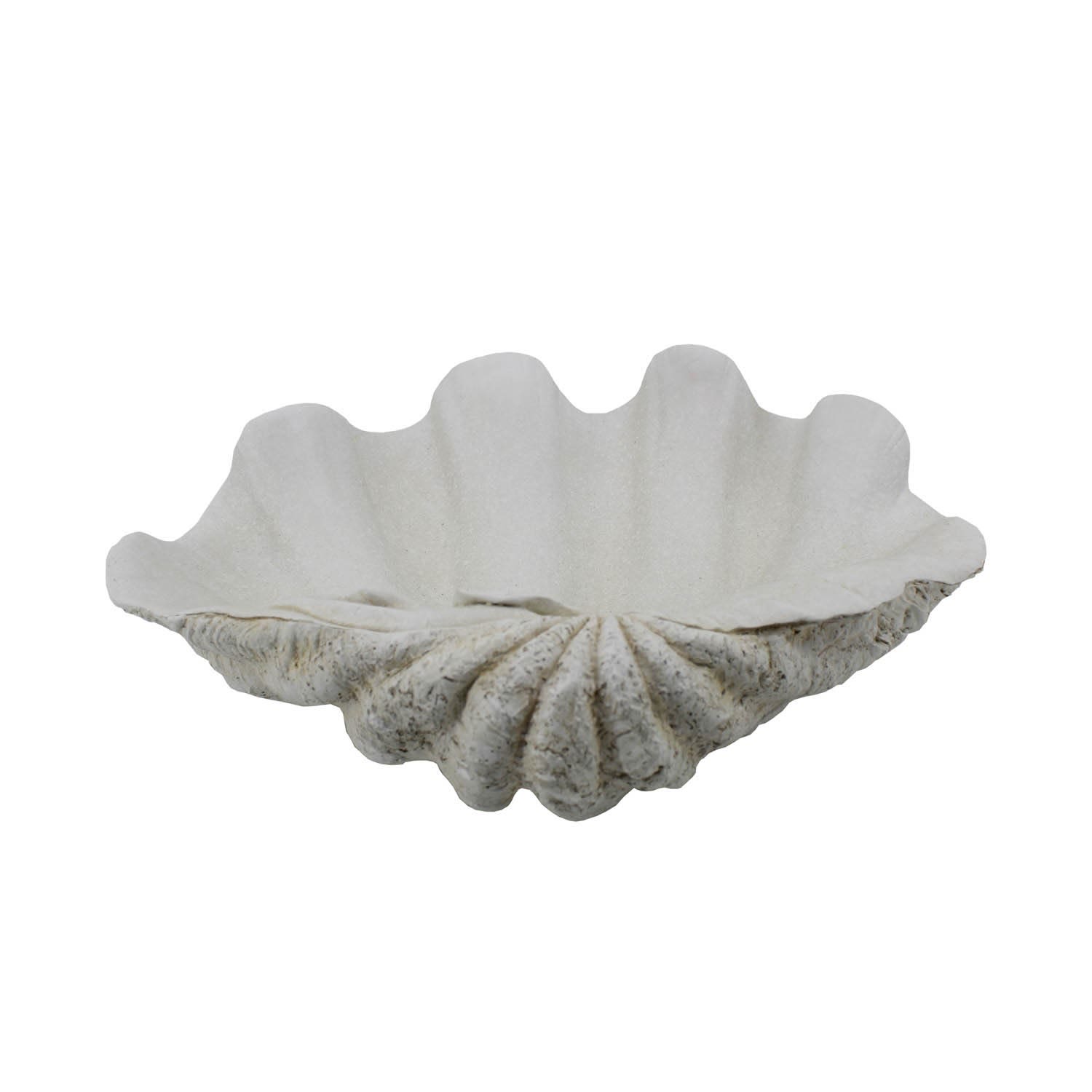 Large White Clam Shell Dish Rockett St George