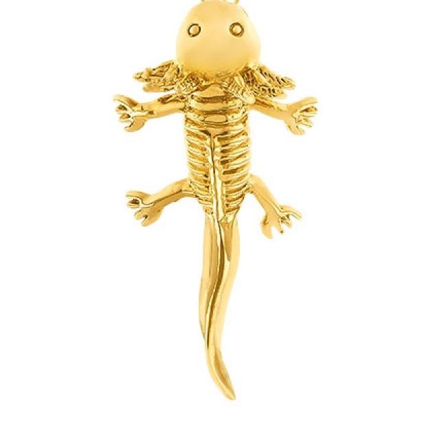 Women’s Gold Broach Axolotl Sophie Simone Designs