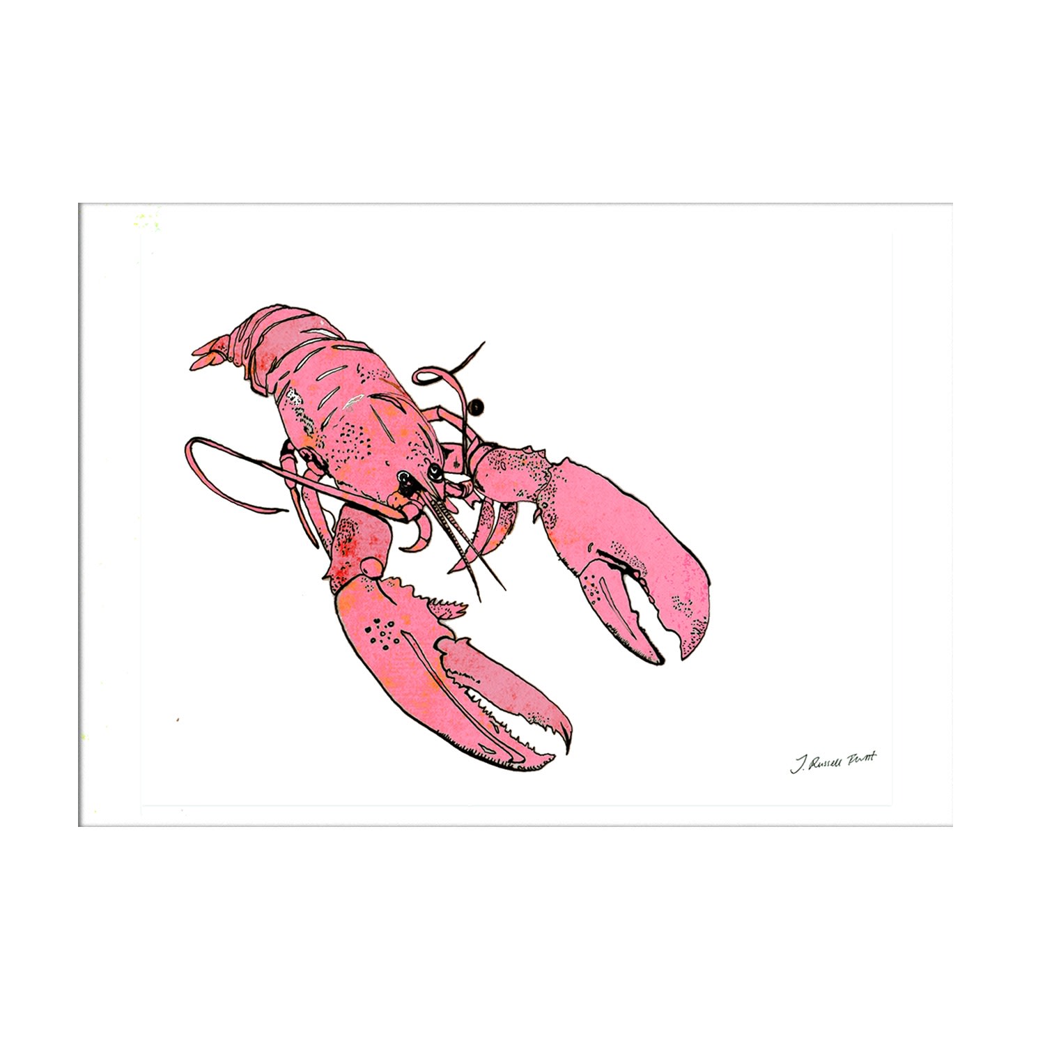 White The Little Pink Lobster Limited Edition Signed Print Jessica Russell Flint