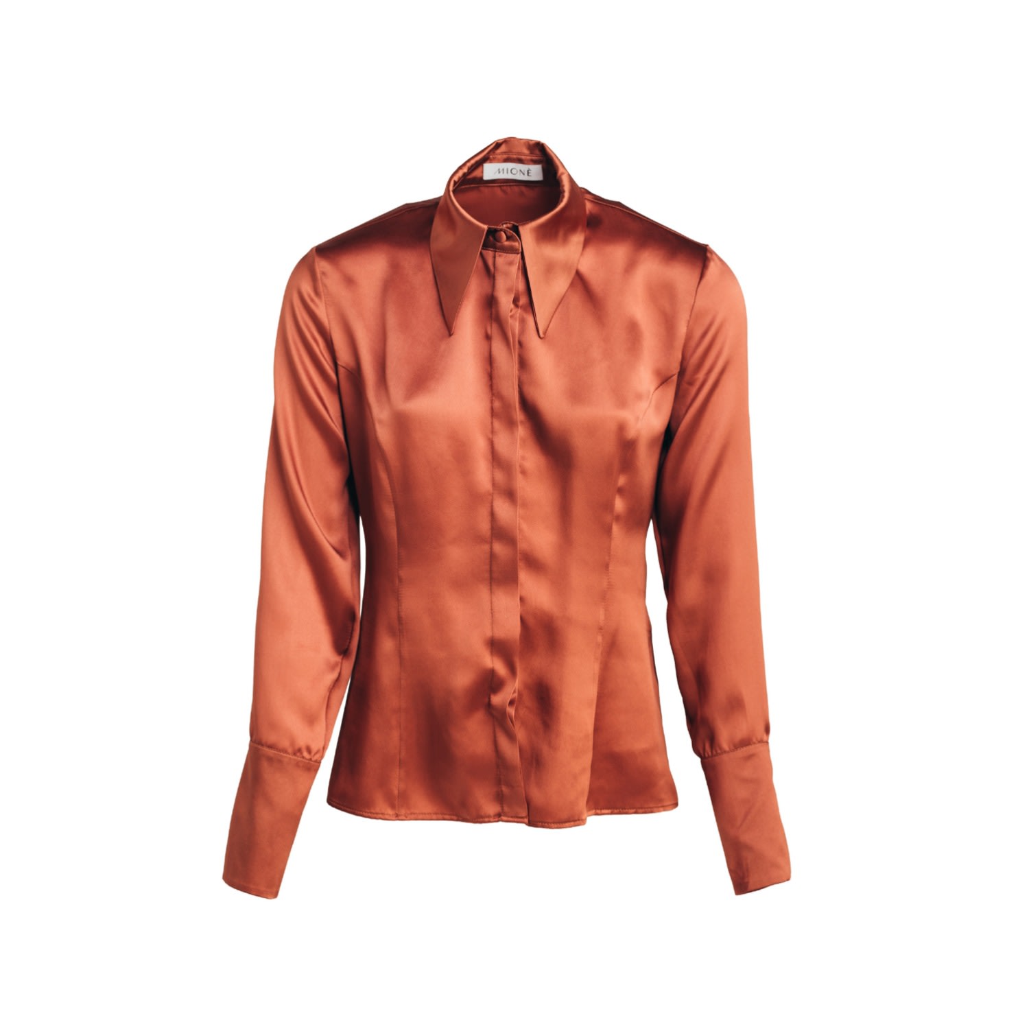 Mionè Women's Silk Shirt - Brown In Brown