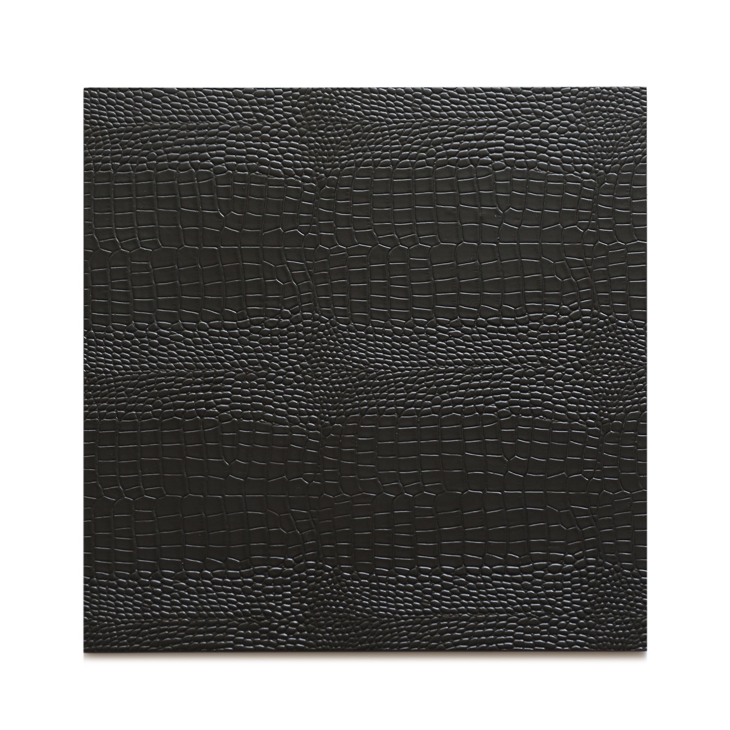 Set Of Two Placemats - Python Black Posh Trading Company