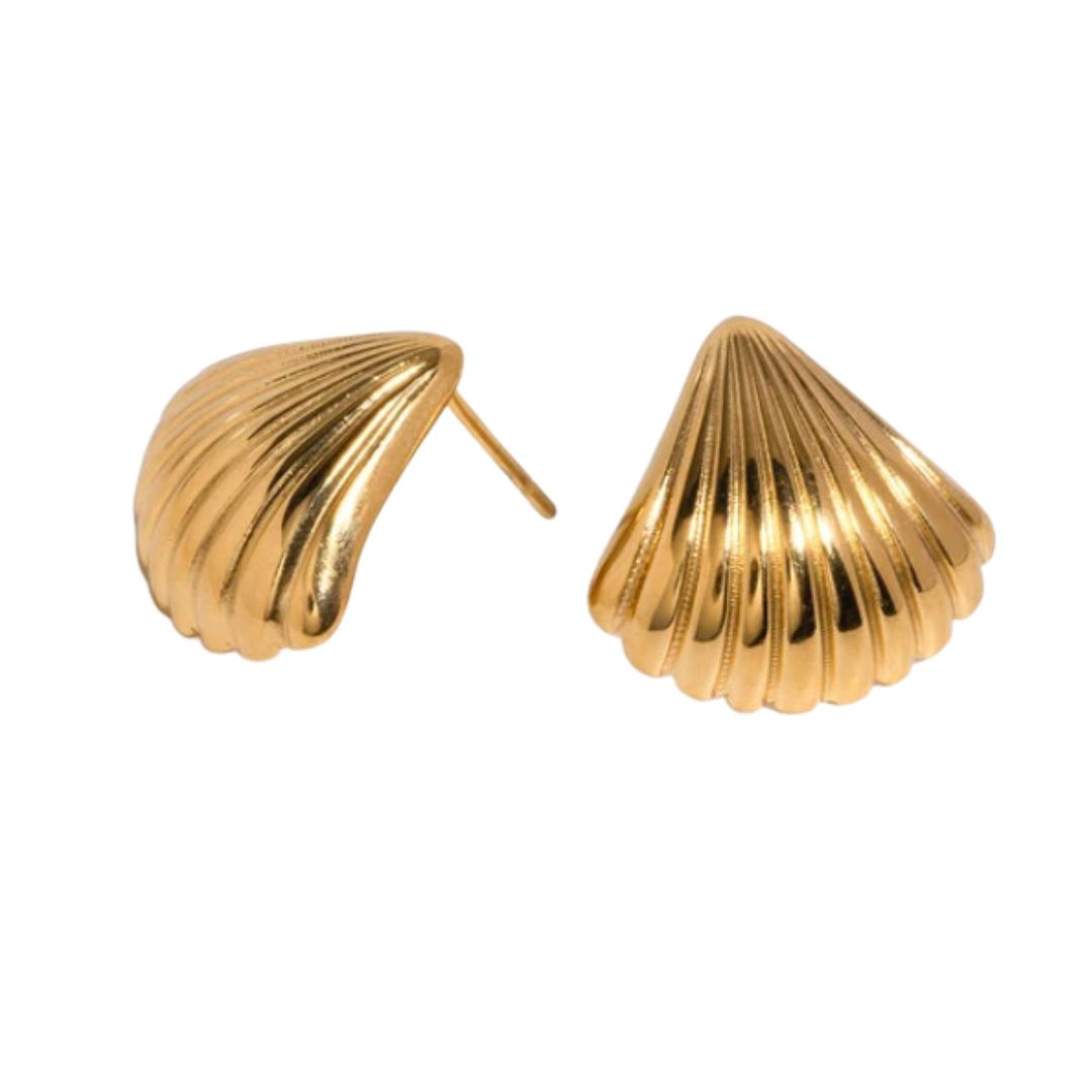 Nazzar Women's Small Shell Ribbed Gold Earrings In Gold