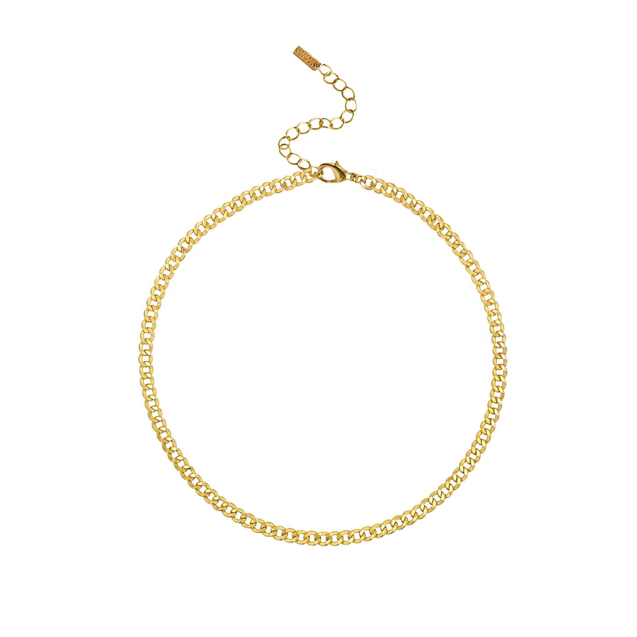 Adriana Pappas Designs Women's Gold Curby Chain Necklace In Gold