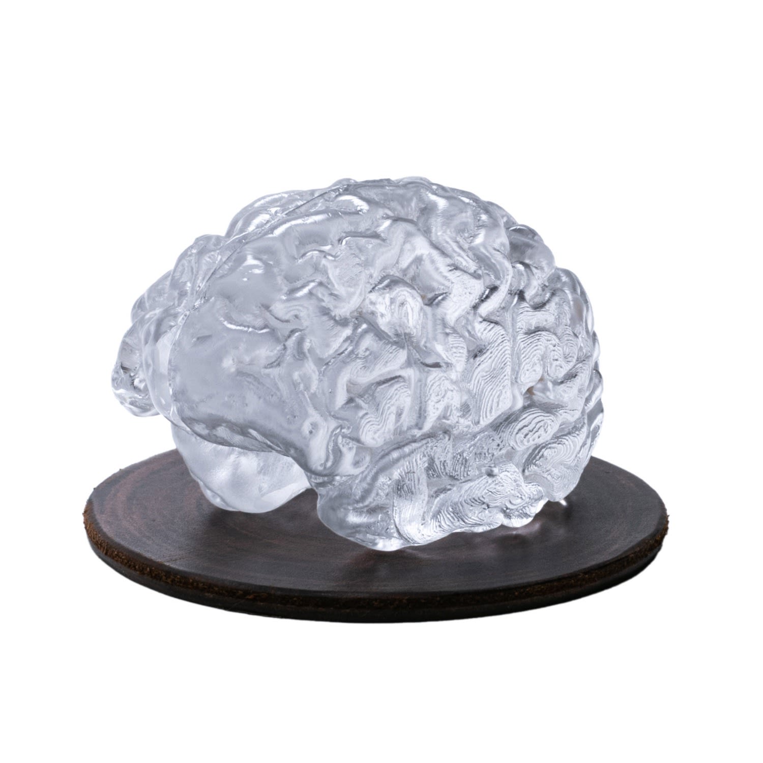 Roarcraft Neutrals Glass Brain Sculpture In Multi