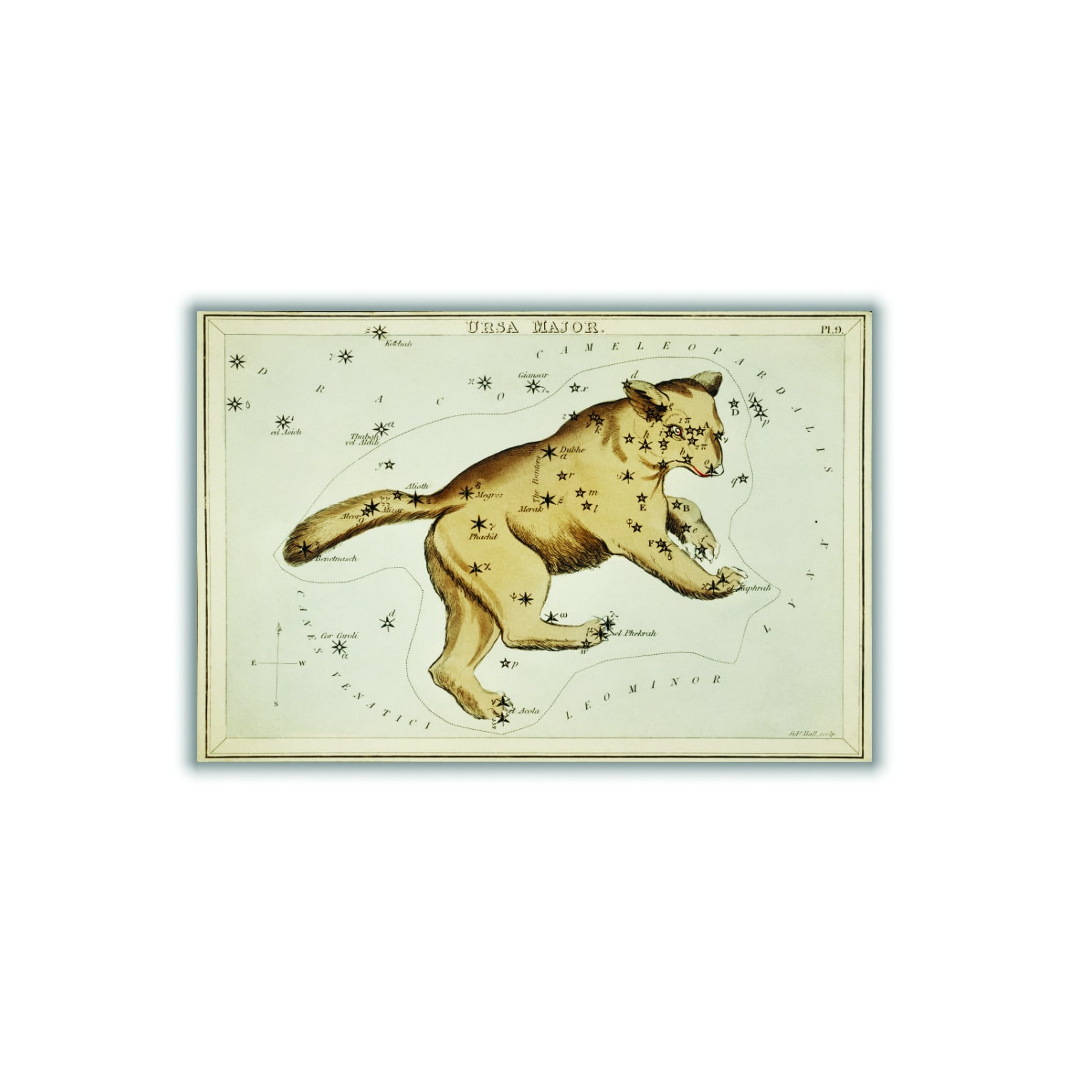 Gold Astronomical Chart Illustration Of The Ursa Major A3 297 X 420Mm Stanley Print House