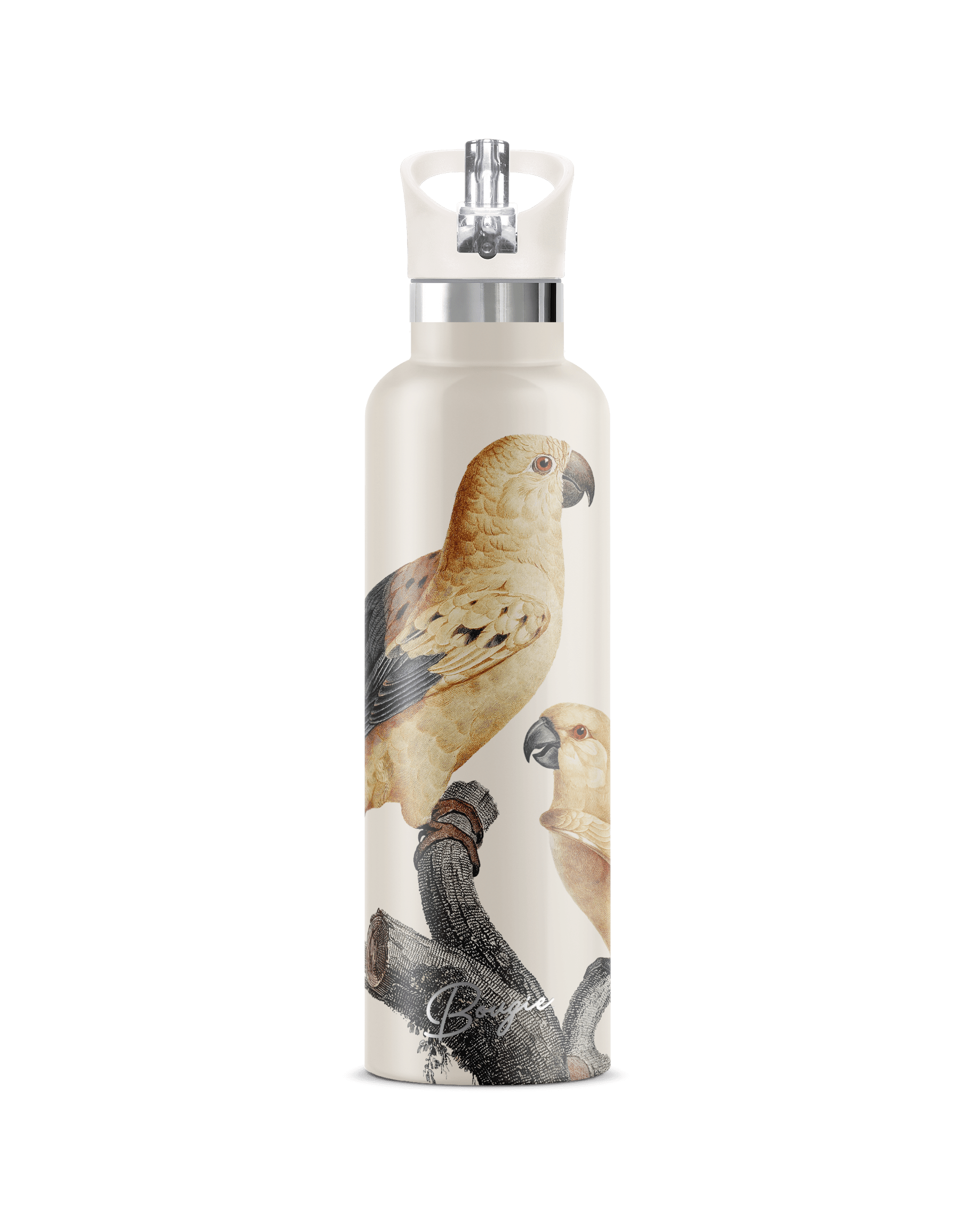 My Bougie Bottle Neutrals Perico Sun Parakeet Insulated Water Bottle Cream Lid