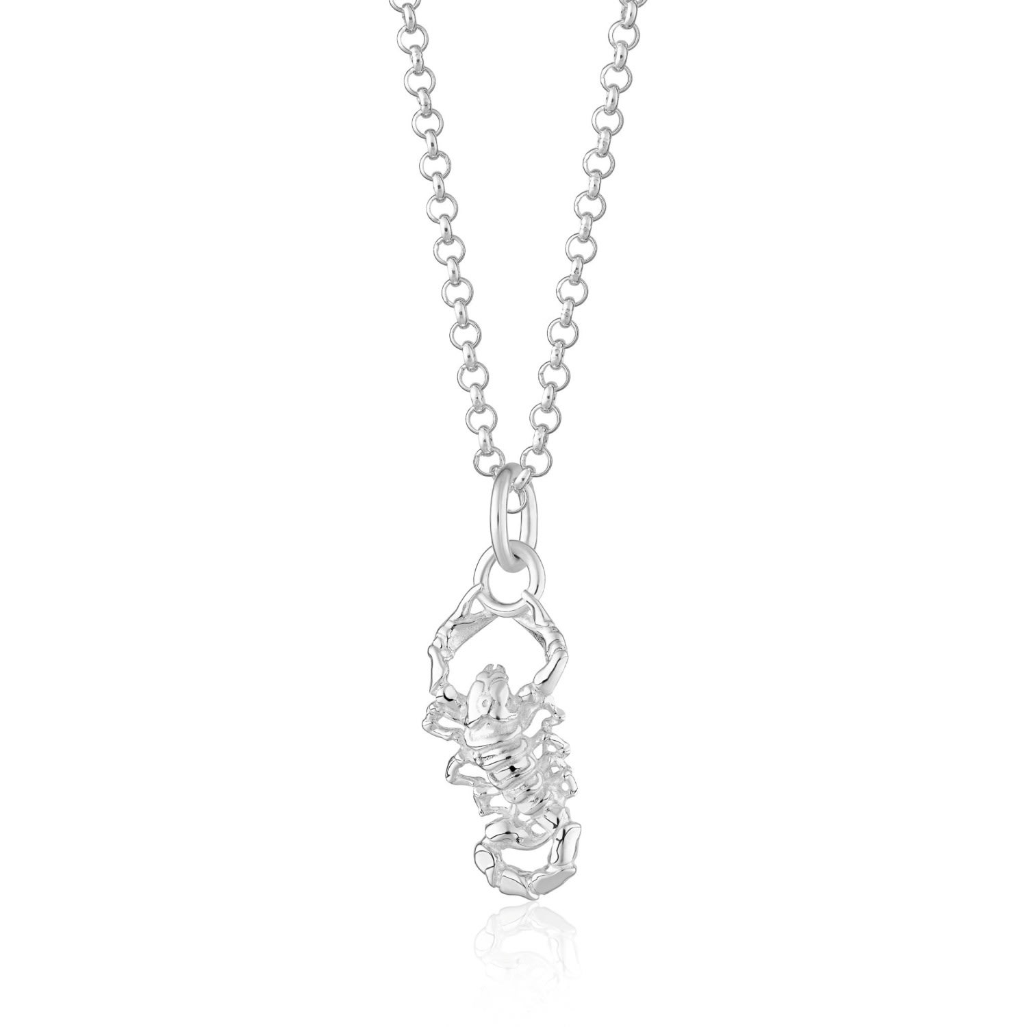 Women’s Silver Scorpion Necklace Scream Pretty