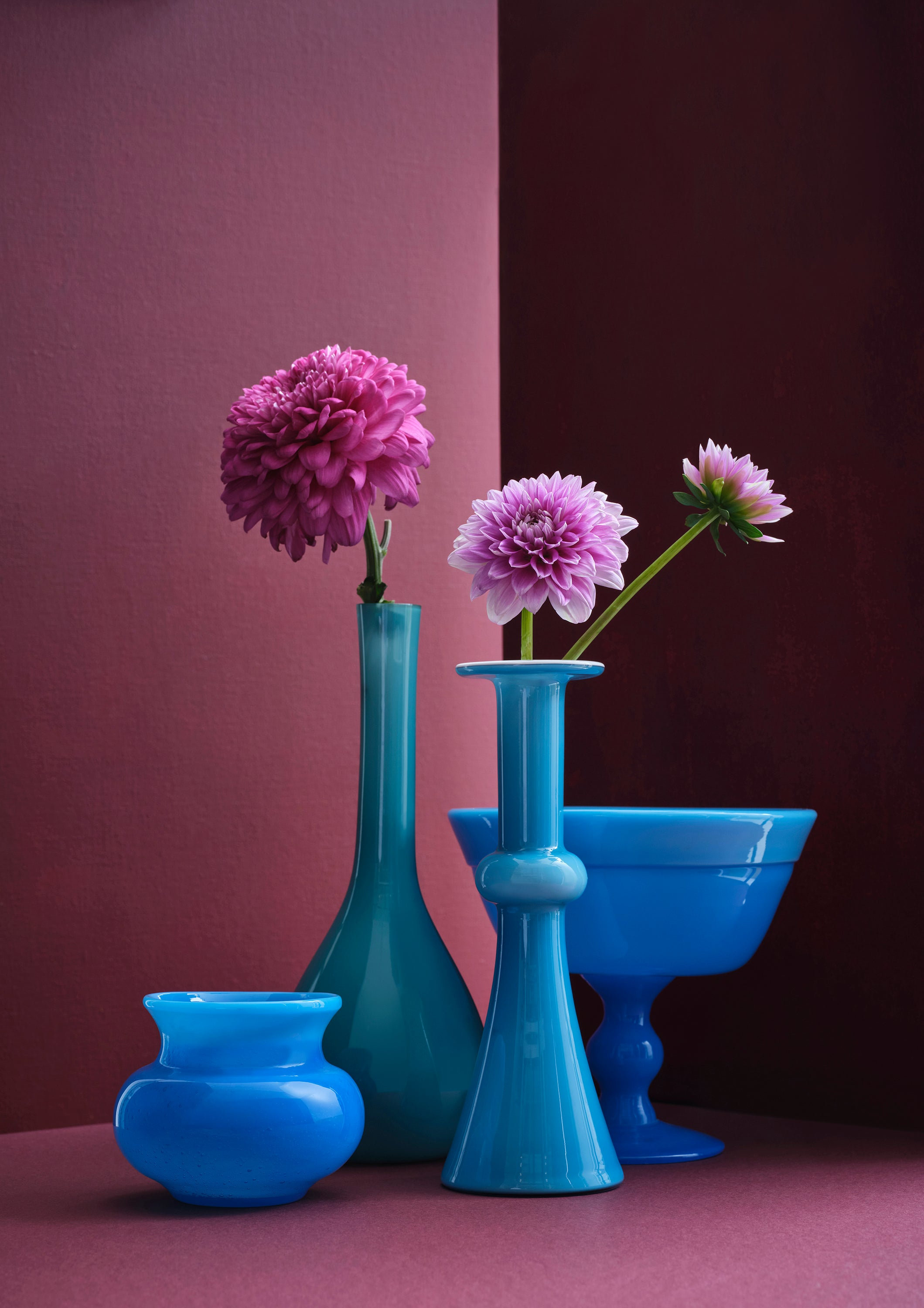 Ornament Art Pink / Purple / Blue Harmony Of Dahlias Giclée Photo Print
