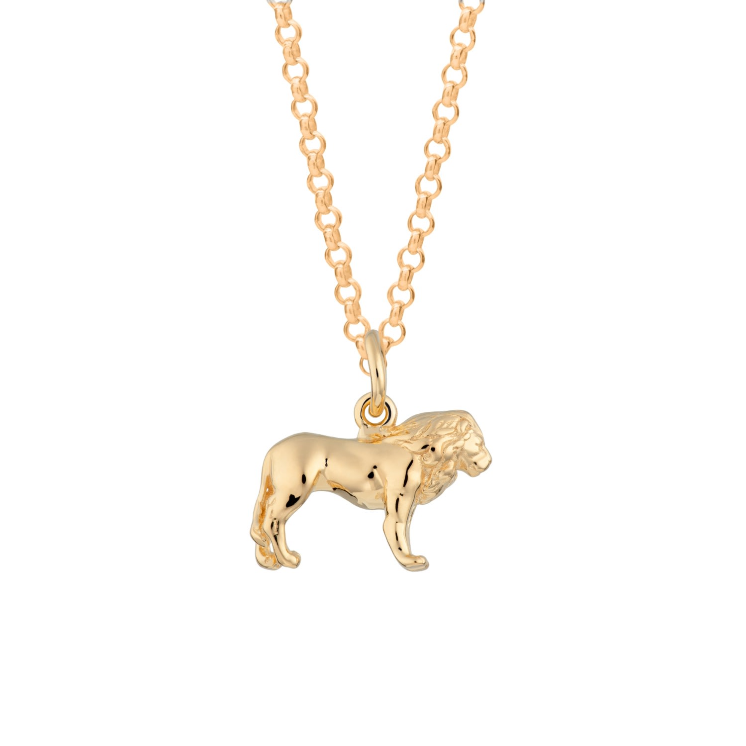 Women’s Gold Plated Lion Necklace Lily Charmed