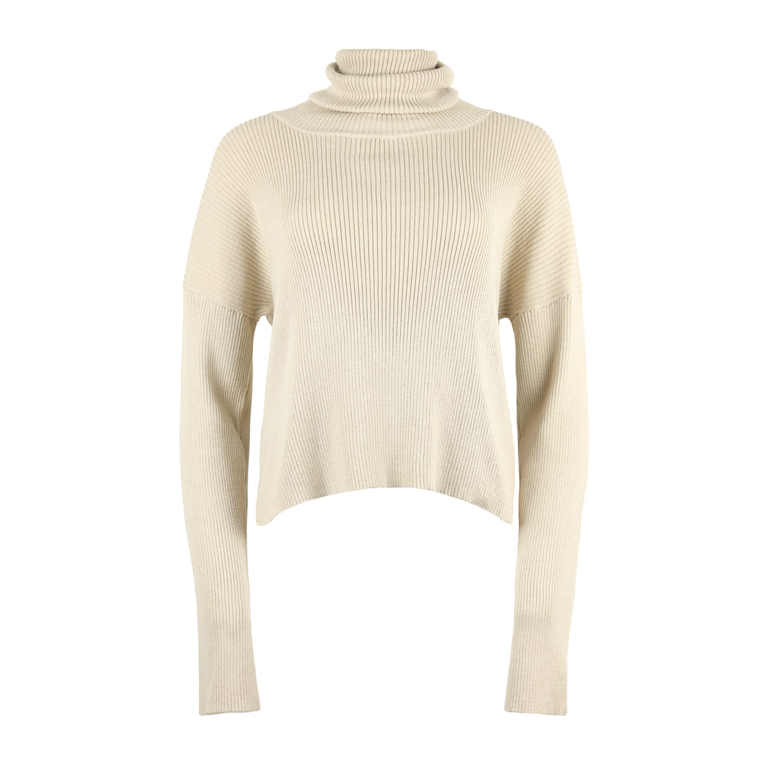 Blonde Gone Rogue Women's Neutrals Relaxed Loose Turtleneck Sweater In Beige In Beige