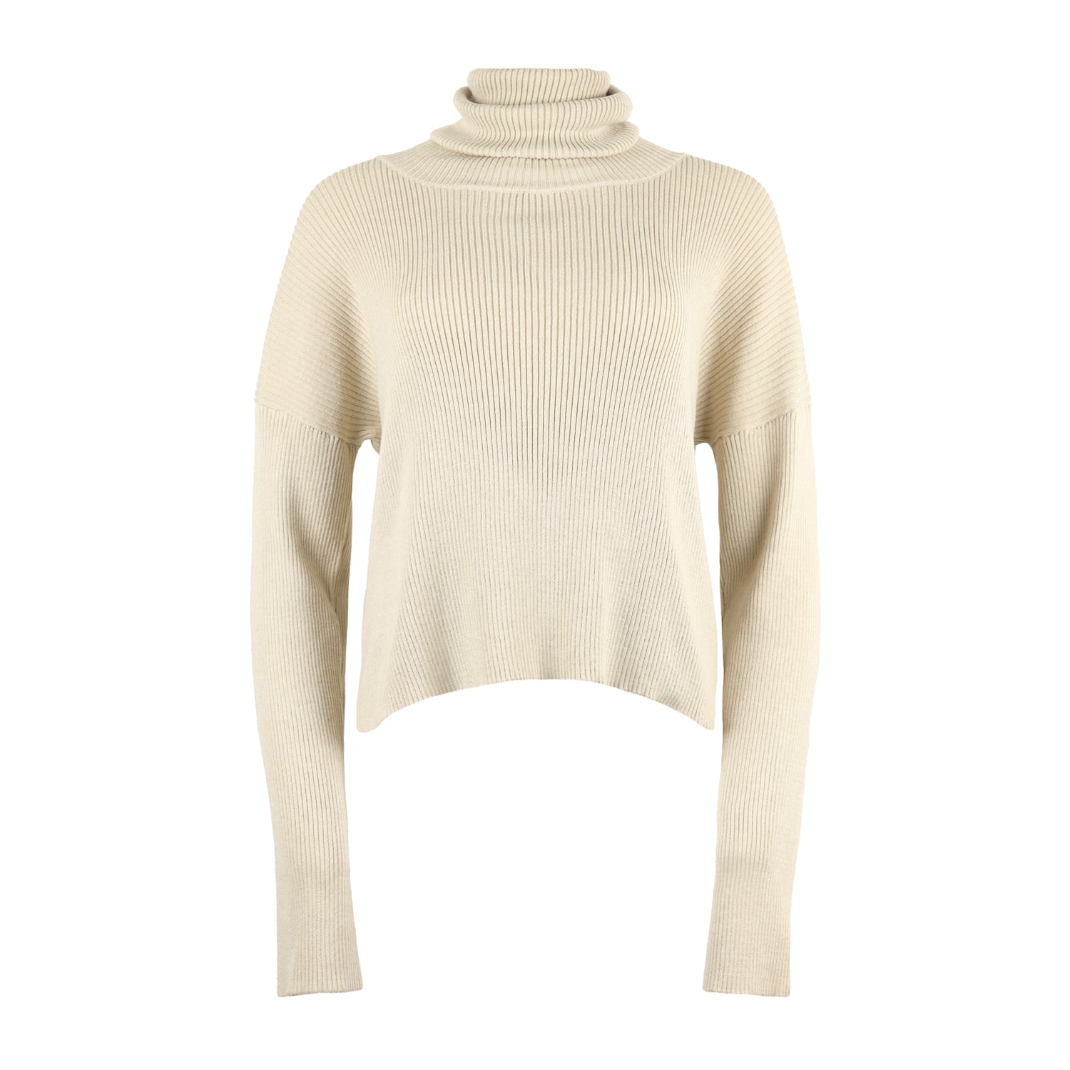 Blonde Gone Rogue Women's Neutrals Relaxed Loose Turtleneck Sweater In Beige