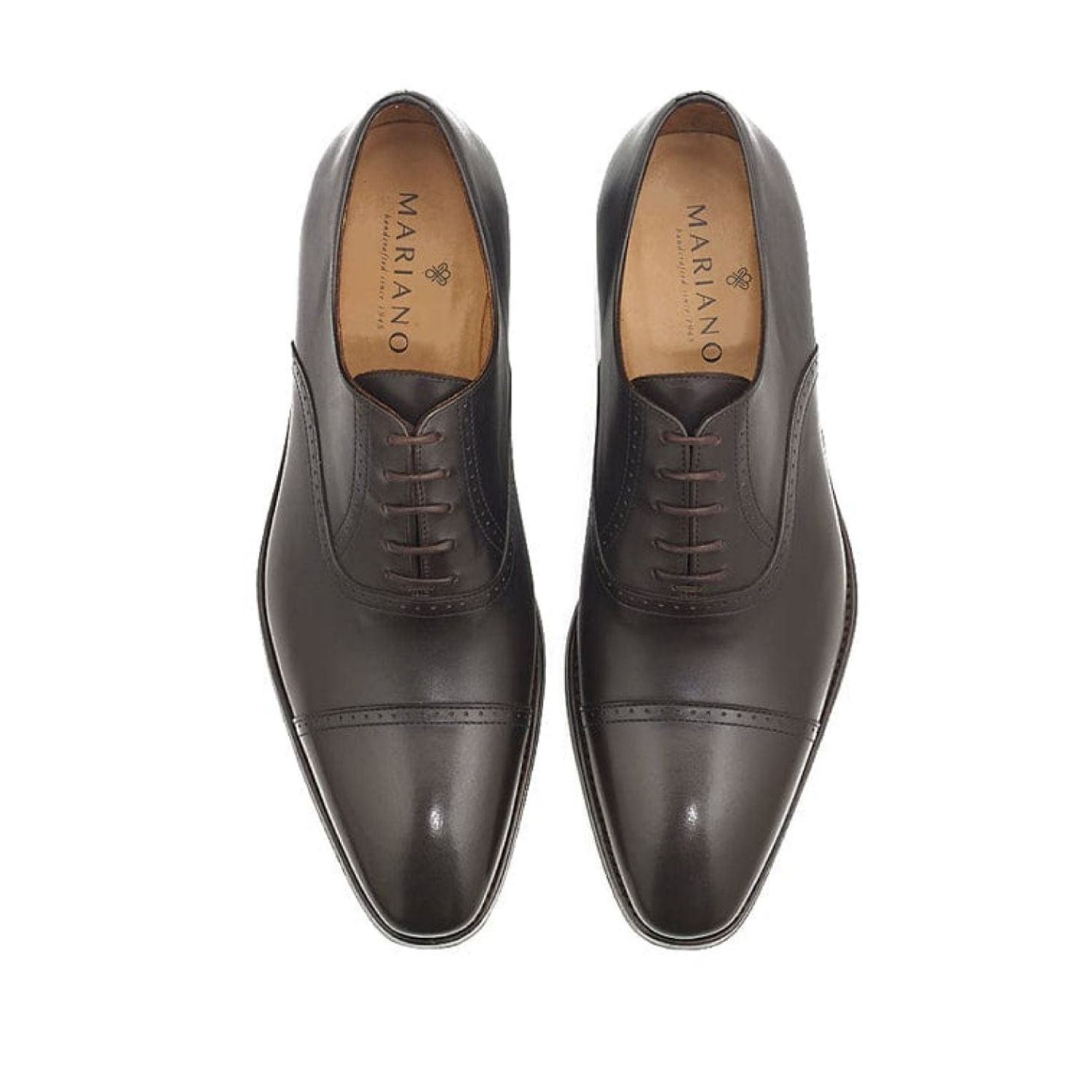 Mariano Shoes Men's Sintra Oxford Brown In Brown