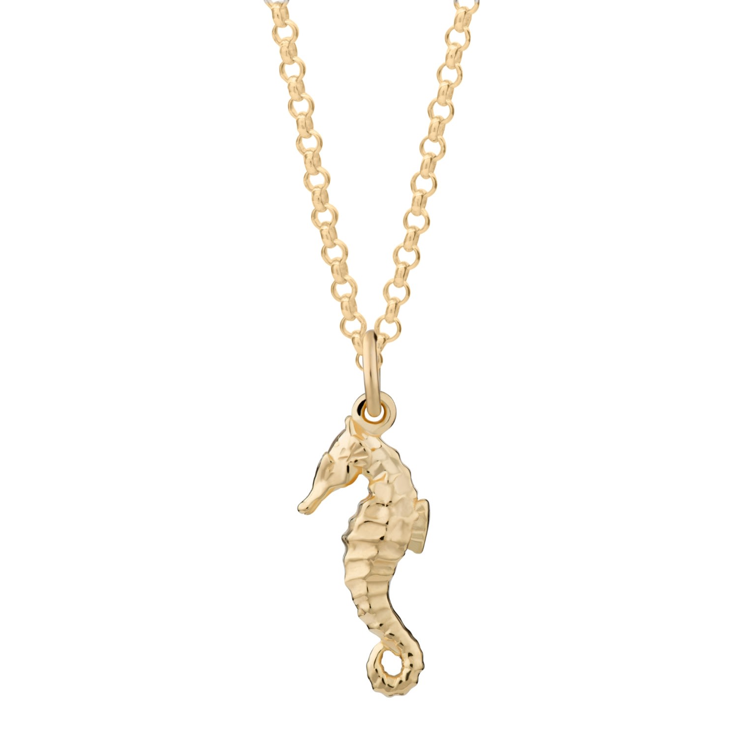 Women’s Gold Plated Seahorse Necklace Lily Charmed