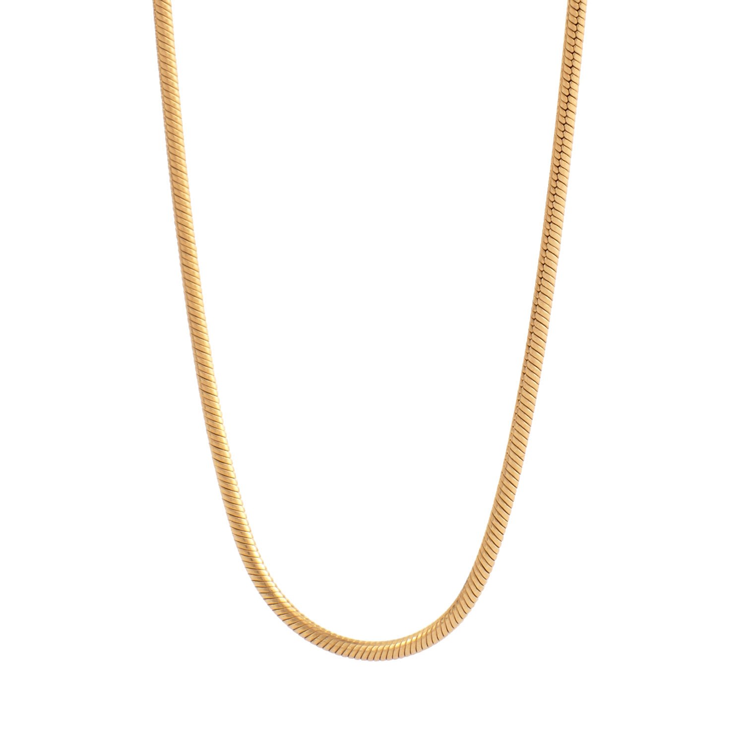 Women’s Gold Snake Chain Necklace Buvy Jewellery