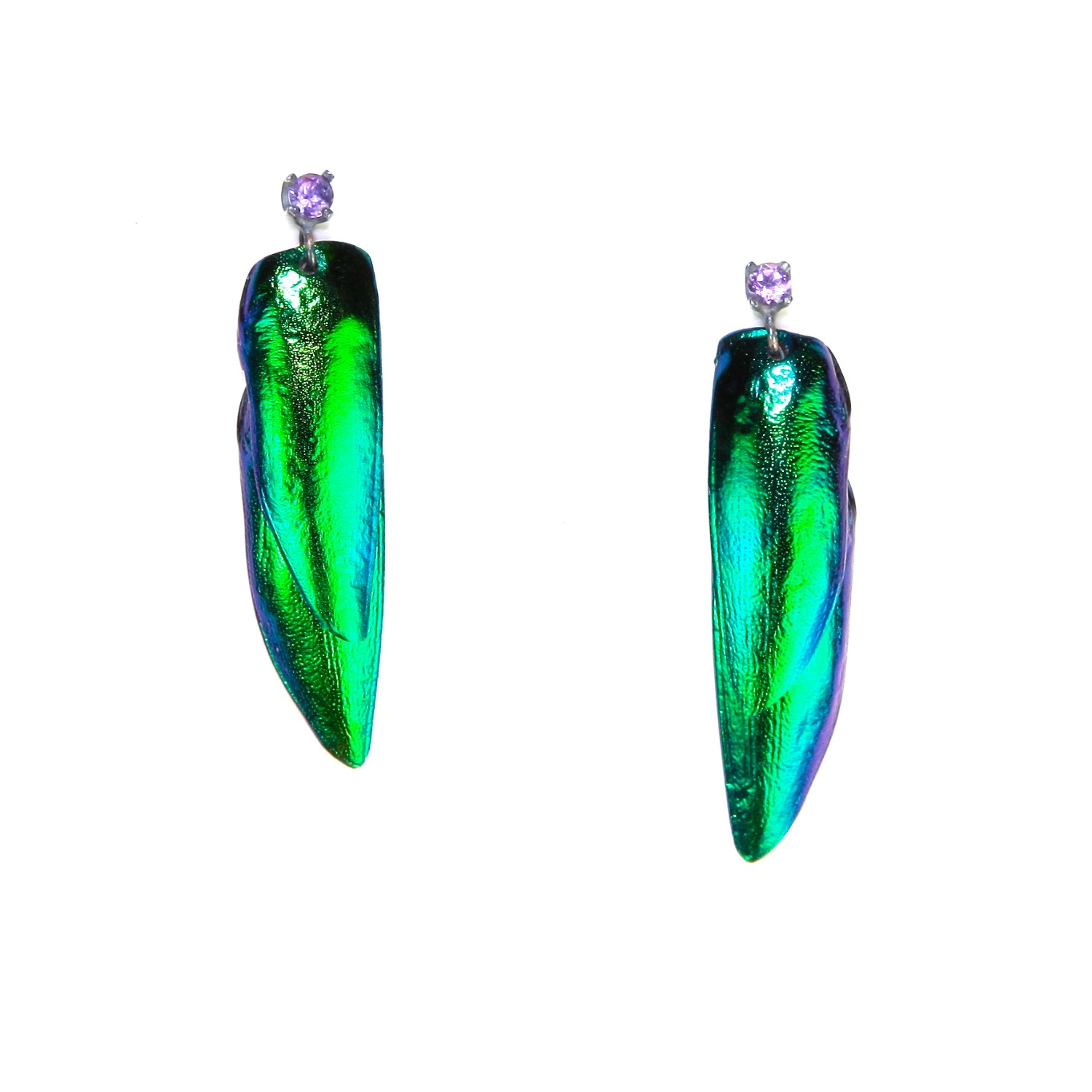 Beetle Wing Earrings by Salty Girl Jewelry