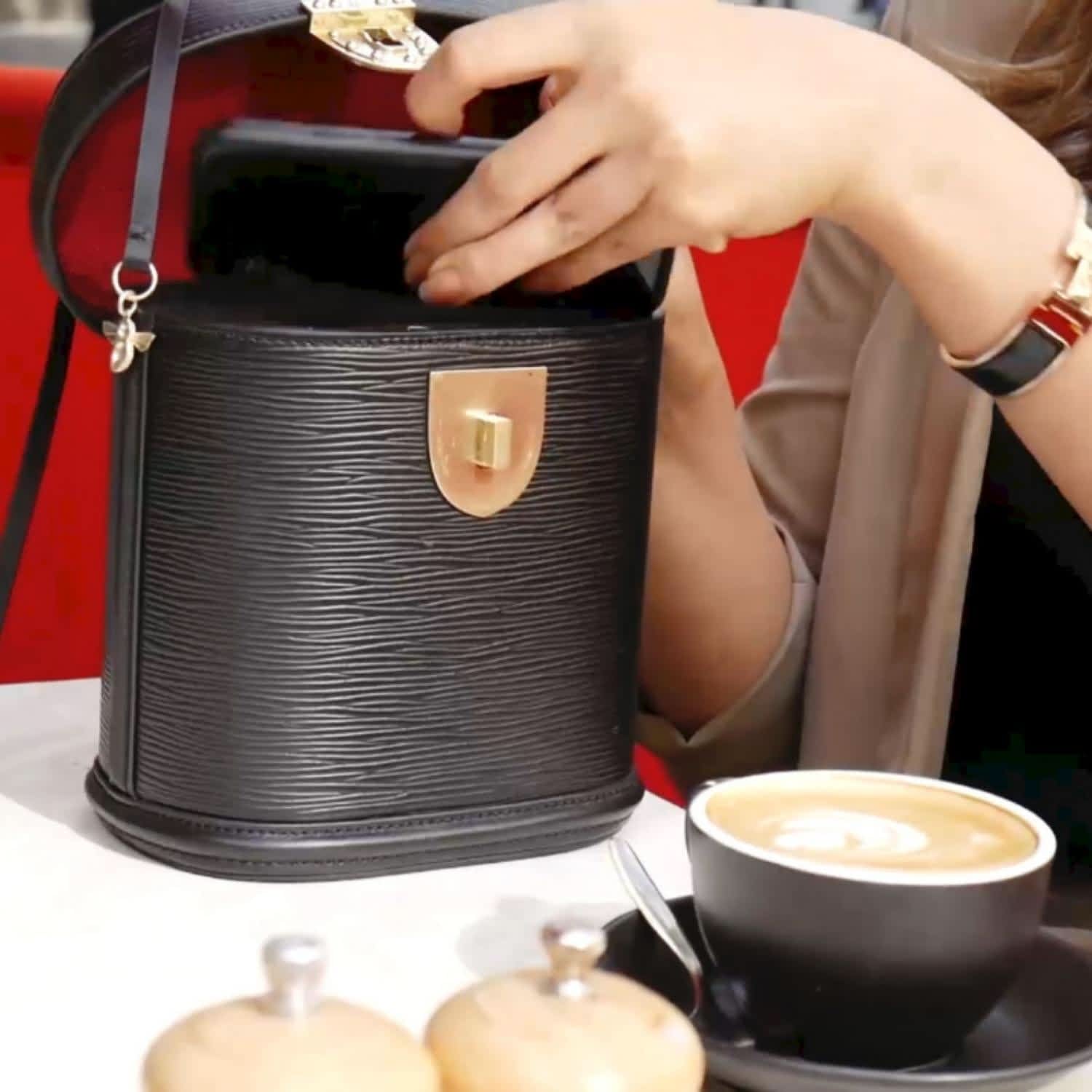 Louis Vuitton Epi Leather Collection - Coffee and Handbags