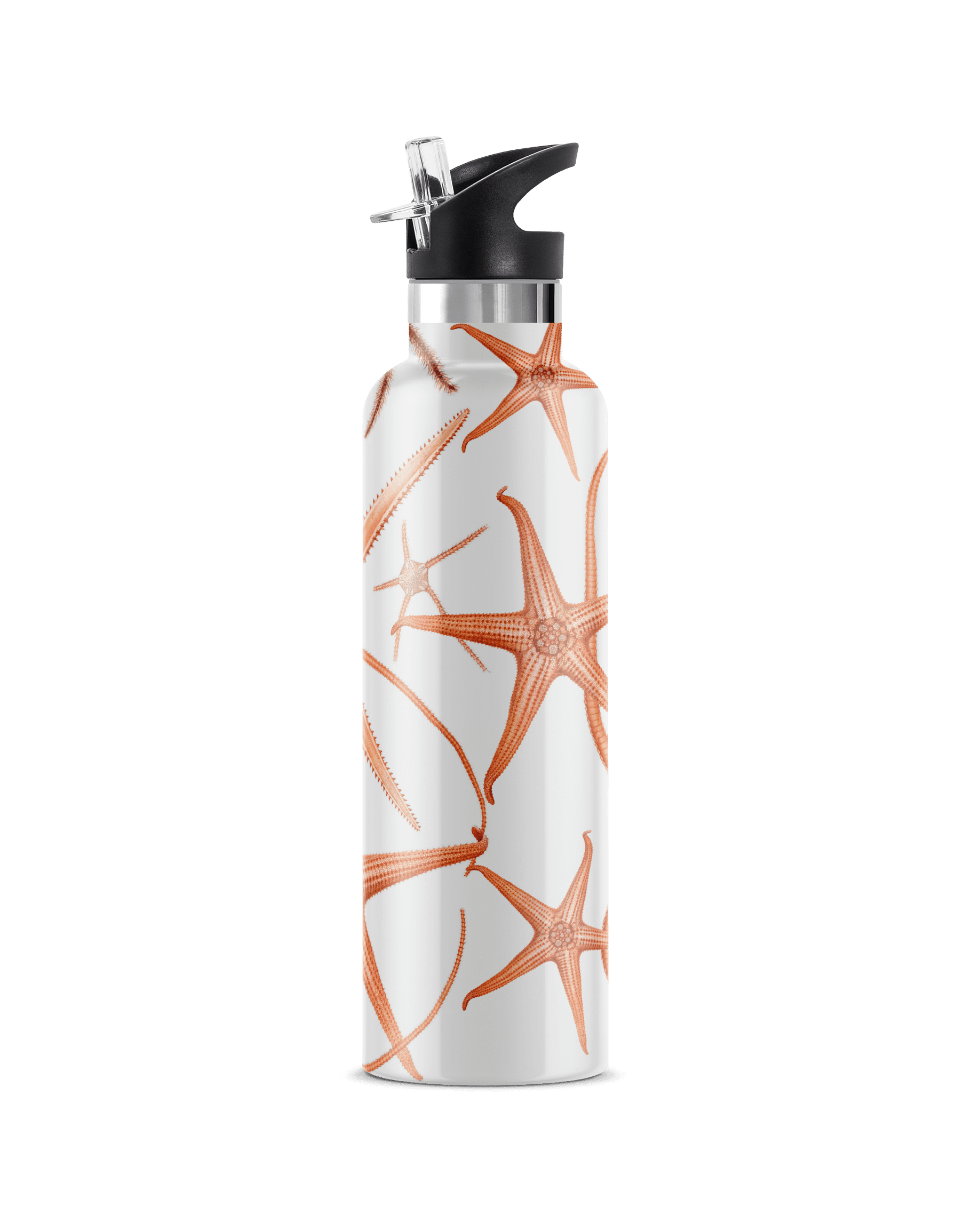 Stella Piscis Insulated Water Bottle With Flip 'N' Sip Lid in 2023