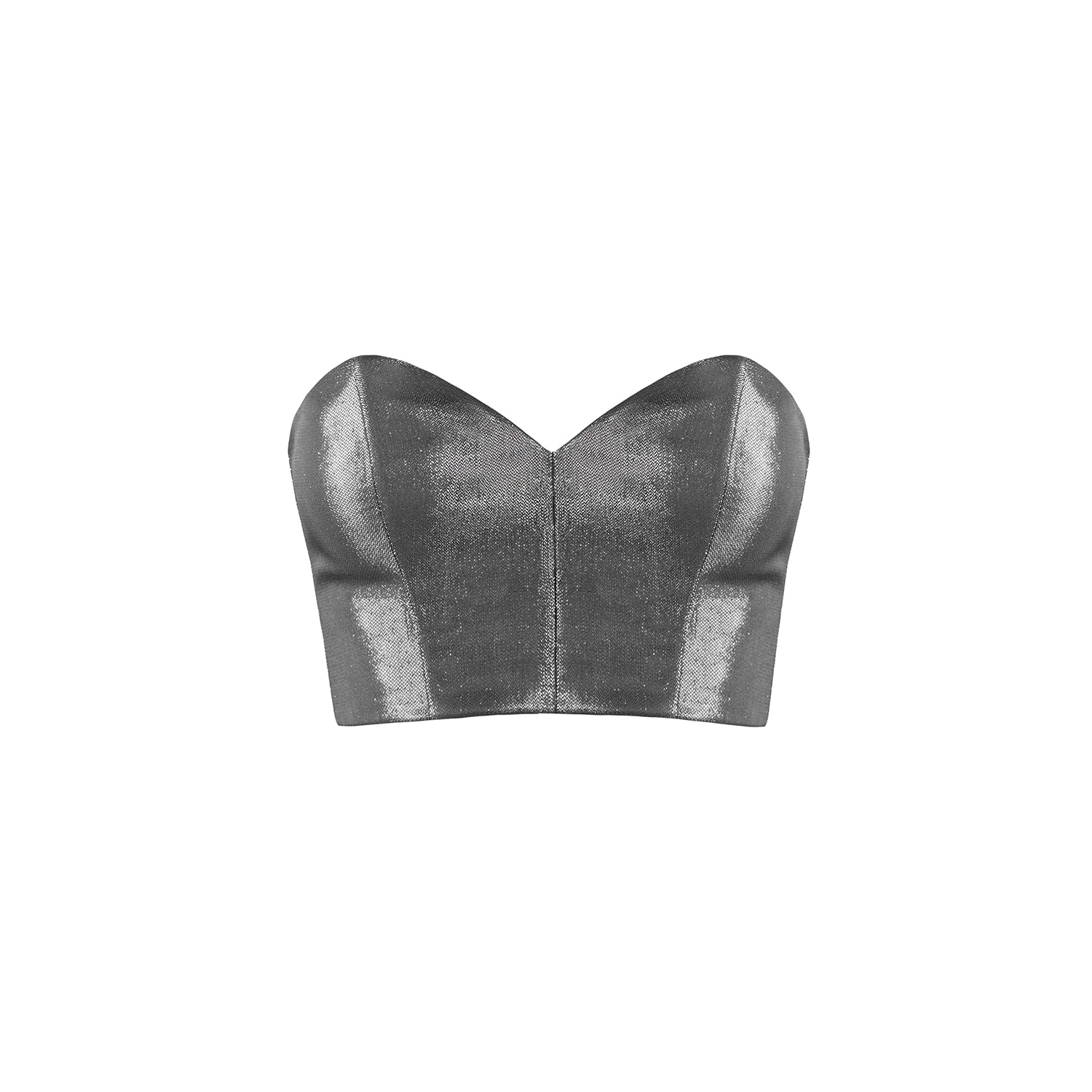 Vestiaire D'un Oiseau Libre Metallic Corset Top In Silver